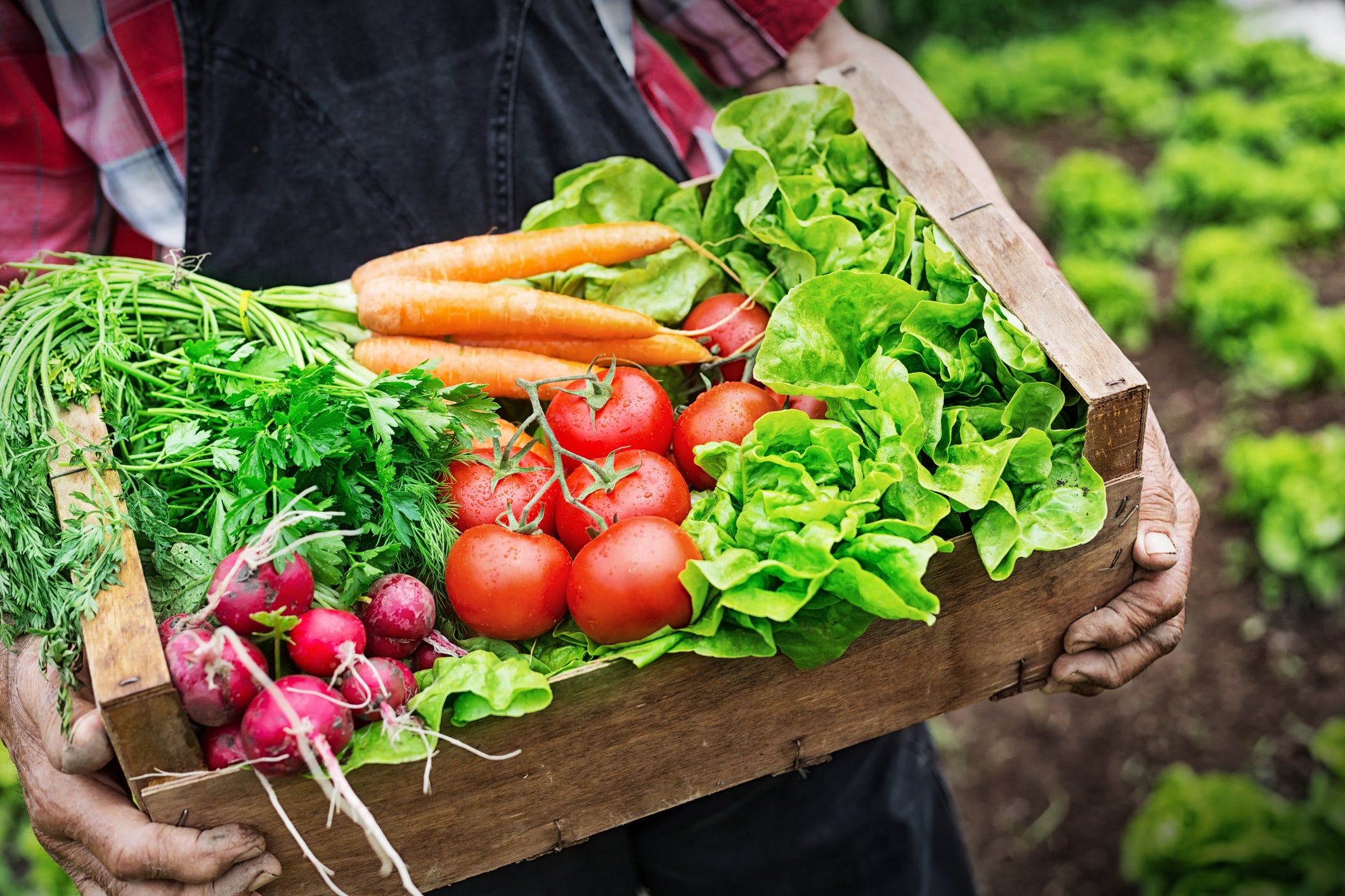 Expect locally sourced food and seasonal menus (Getty)