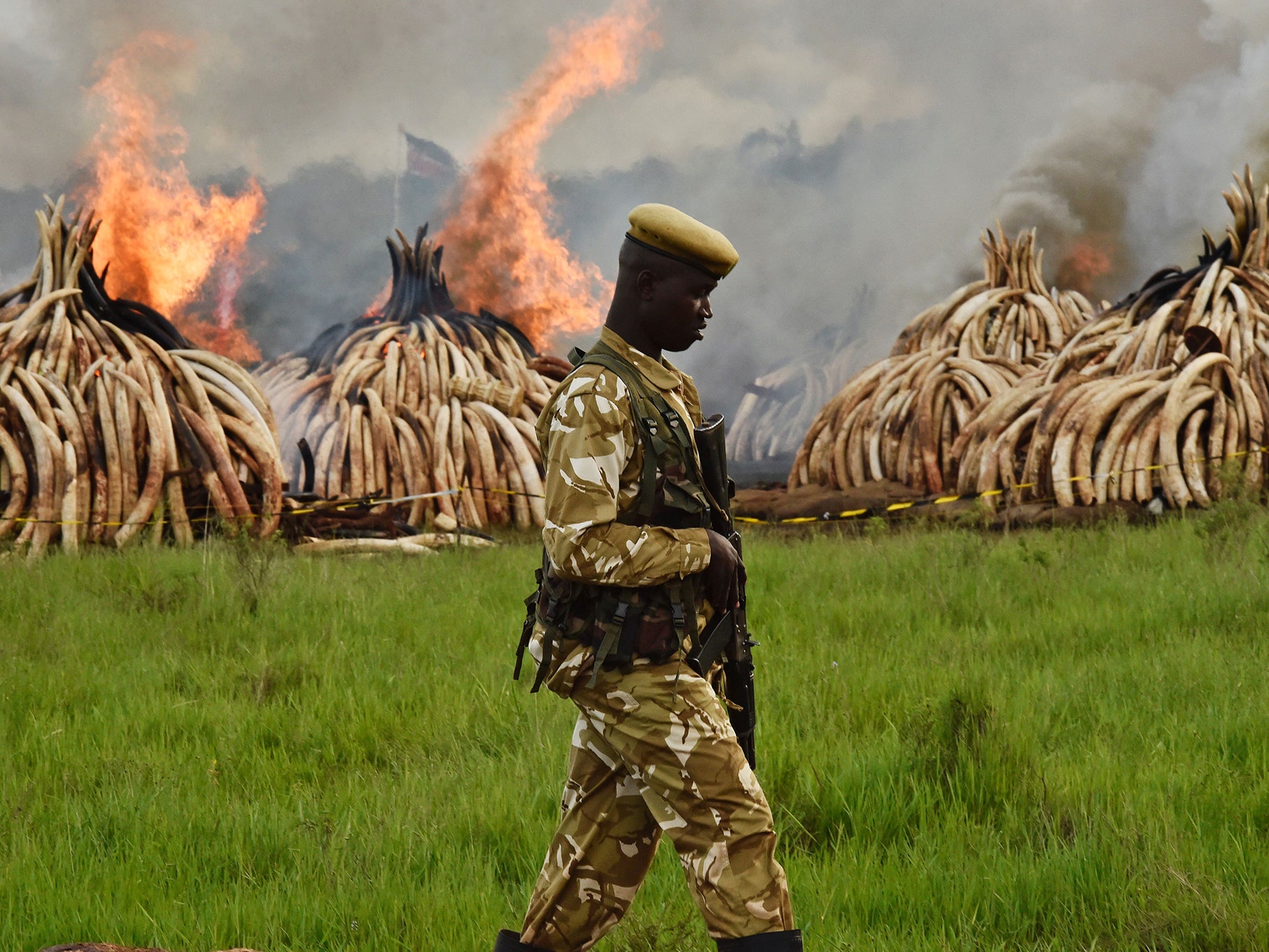 Illegal stockpiles of elephant tusks, ivory figurines and rhino horns are set alight at Nairobi National Park