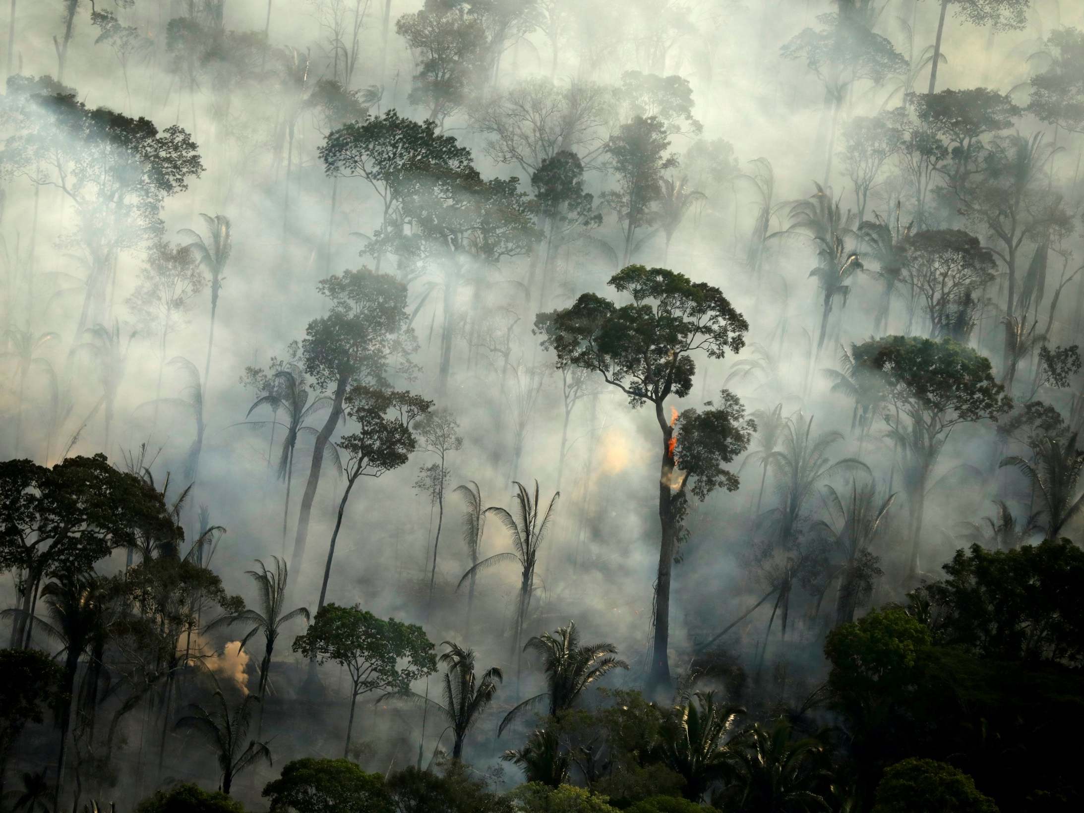 Thousands of troops deployed to protect Amazon rainforest