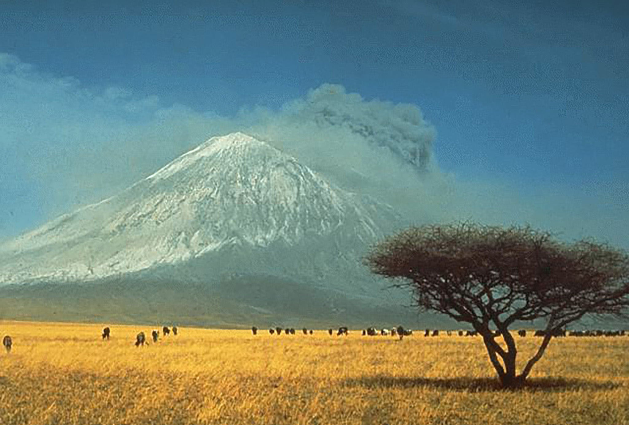 The Tanzanian volcano – known as the Mountain of God – which helped to bury and preserve the 408 prehistoric footprints erupted again back in 1966