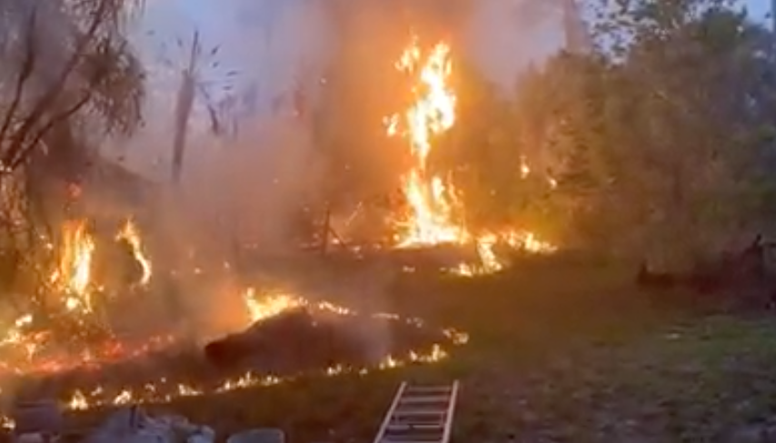 A massive wildfire has formed outside Naples, Florida, forcing the closure of parts of Interstate 75, known as Alligator Alley