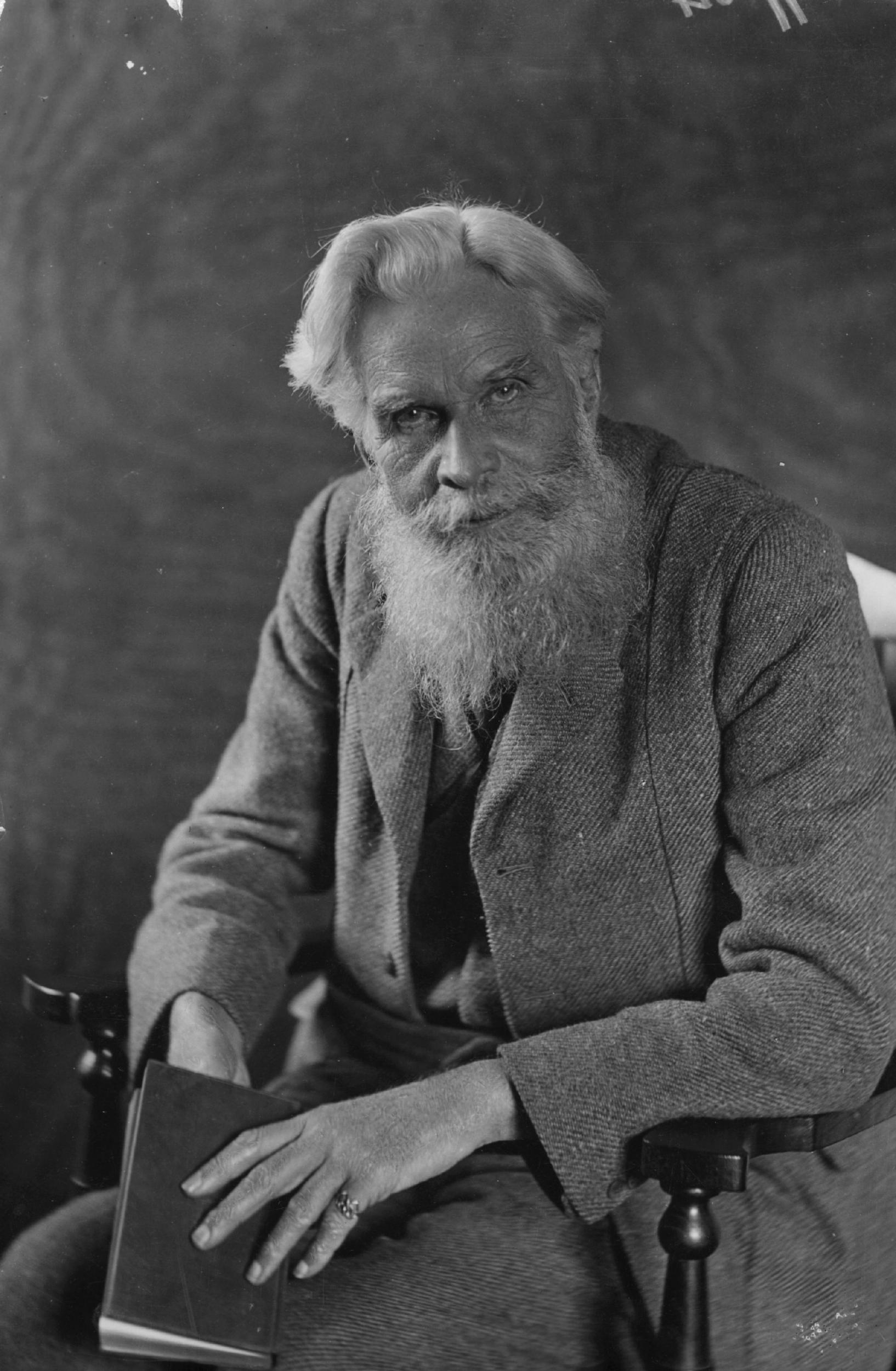 Havelock Ellis noticed he was ‘more sensitive than before to light and shade and colour’ following an experiment with mescaline (Getty)