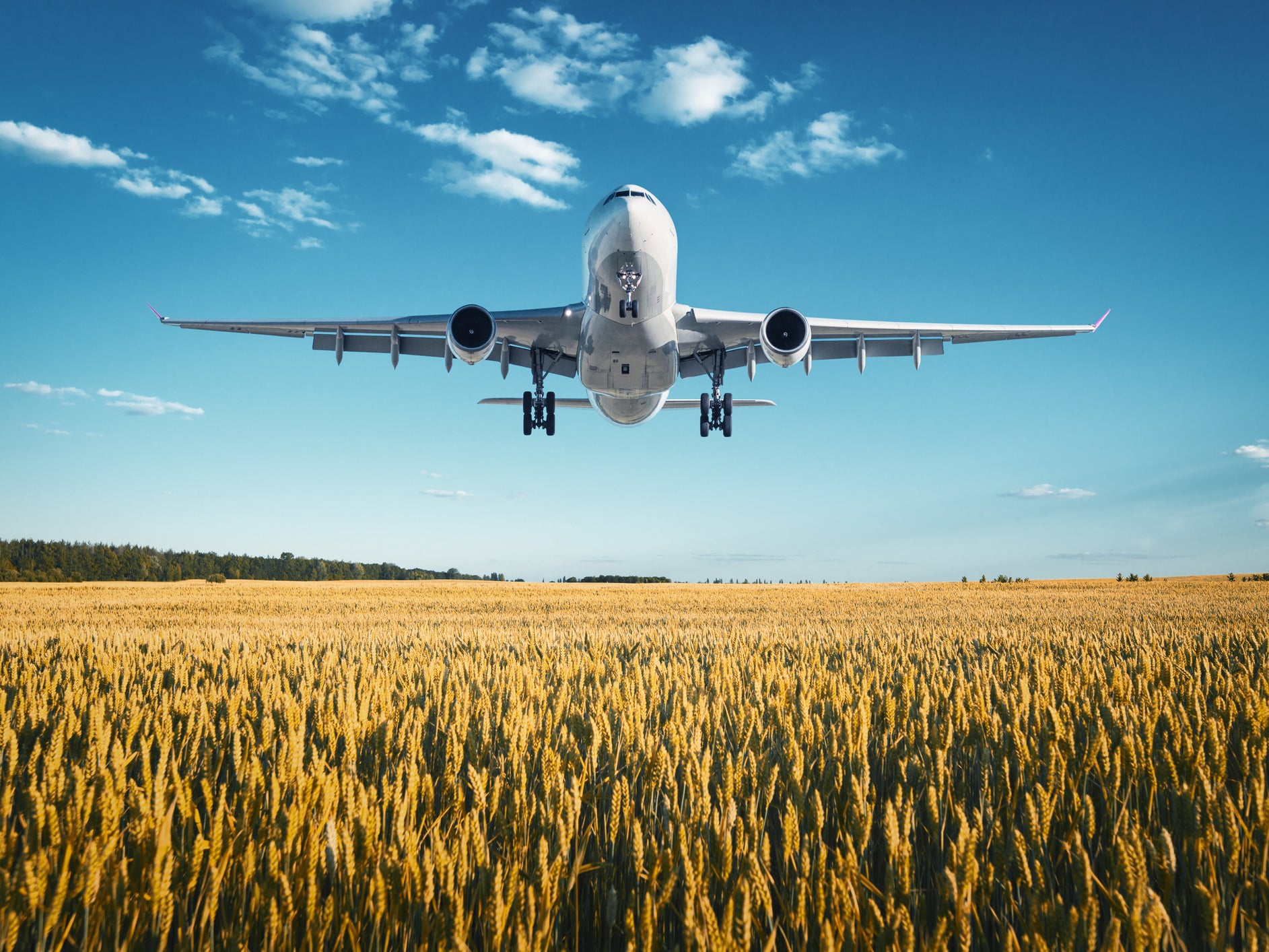 Taking one long-haul return flight produces more emissions than are saved by two people going vegan for a year, the study indicates