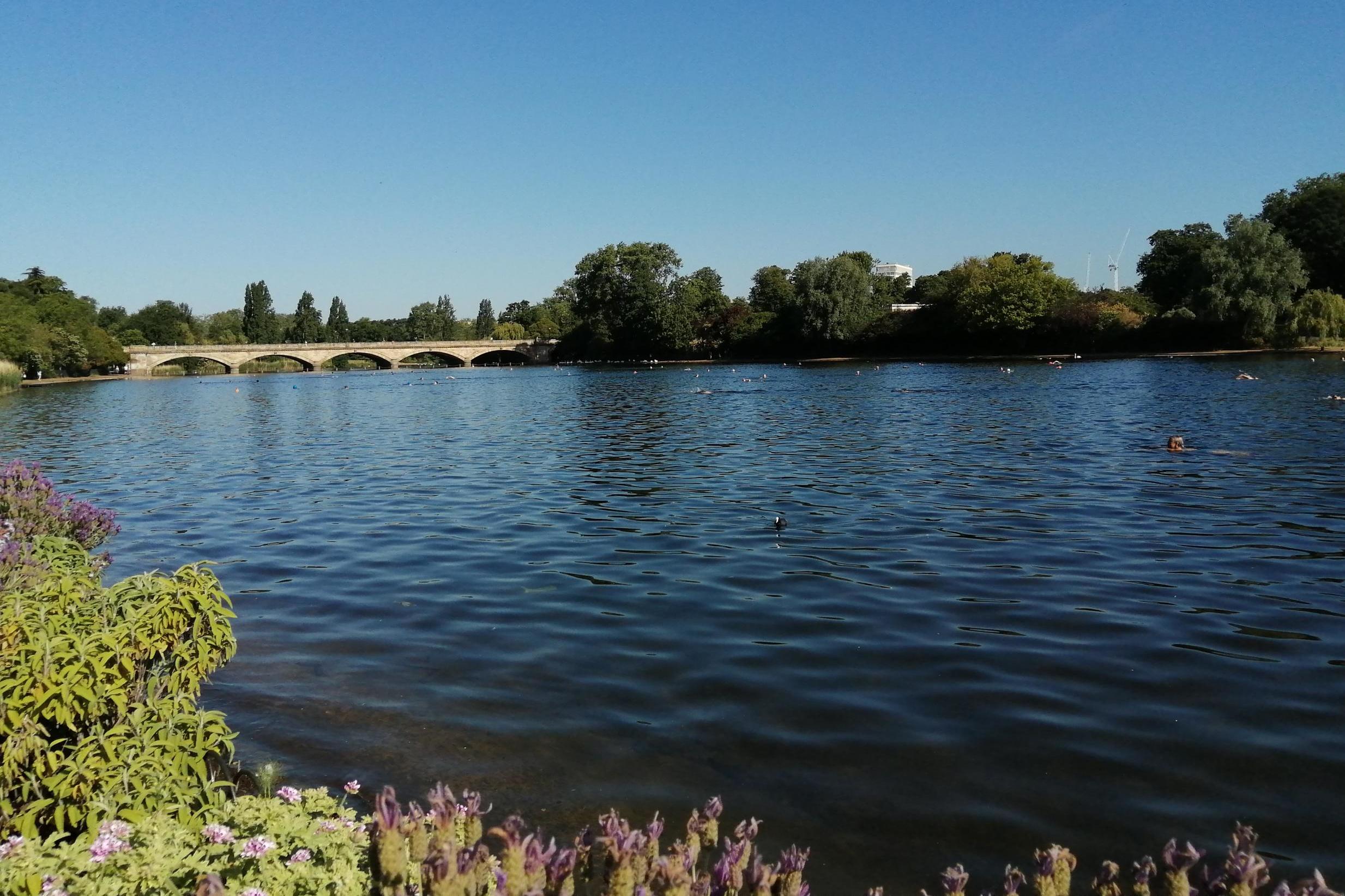 Swimming in the Serpentine can feel as exotic as a trip abroad