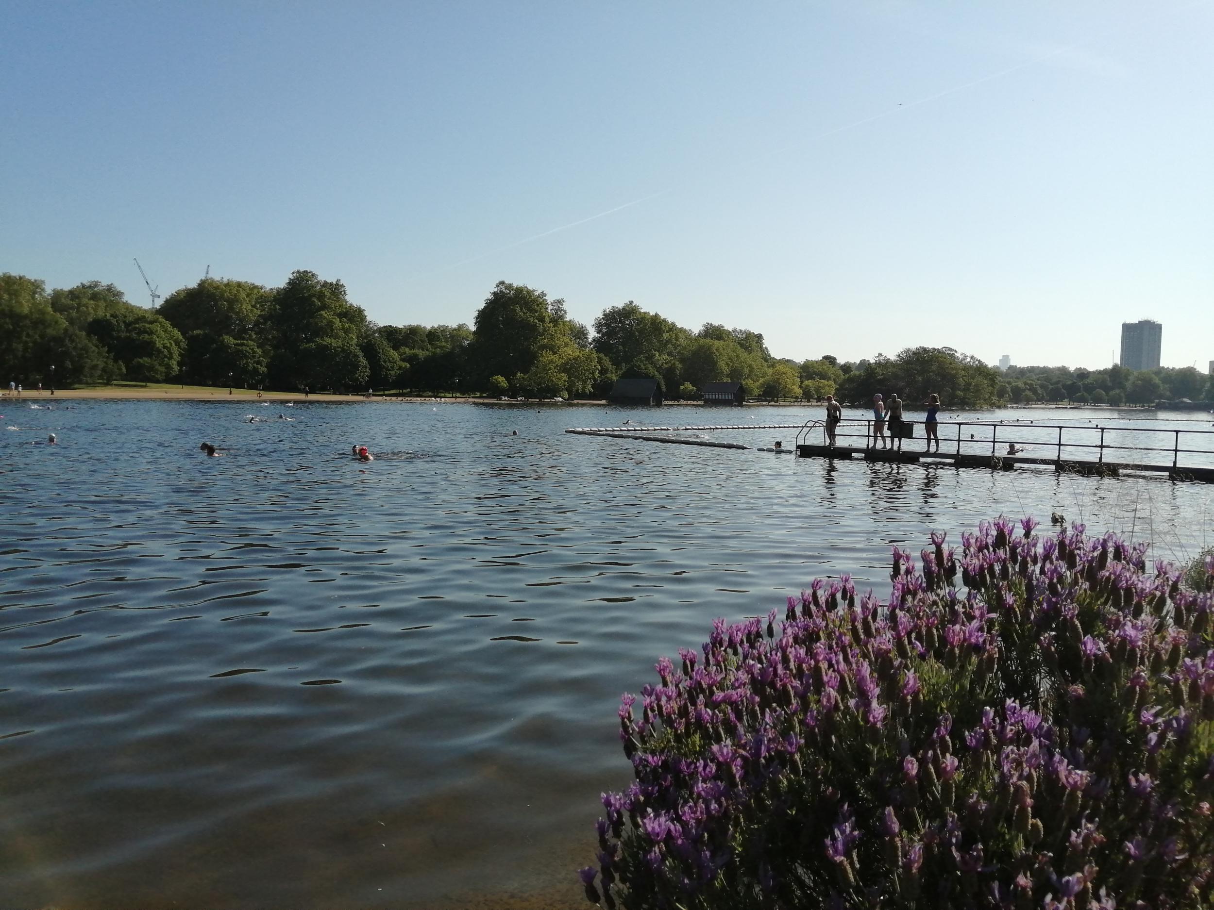 Wild swimming can be found on your doorstep