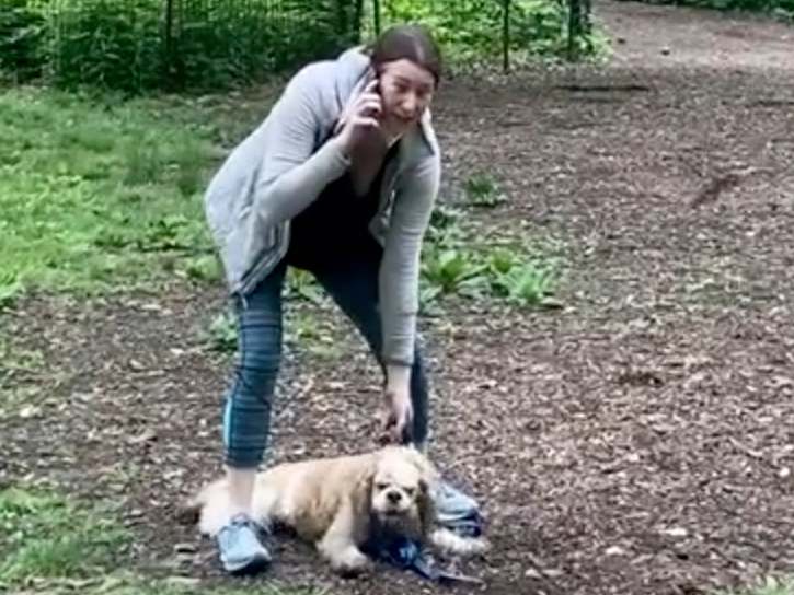 Amy Cooper made a second 911 call when falsely accusing a Black bird watcher of assault, prosecutors say