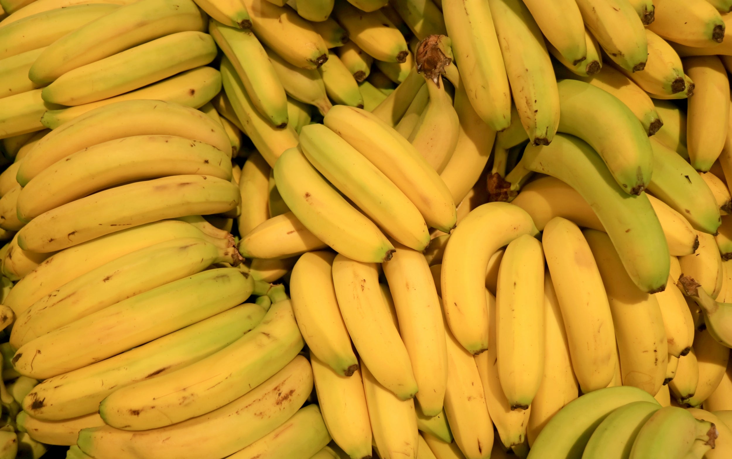 &#13;
Only 13 per cent of the sales price of a regular banana goes to the producer, whereas for Fairtrade bananas it’s 43 per cent &#13;