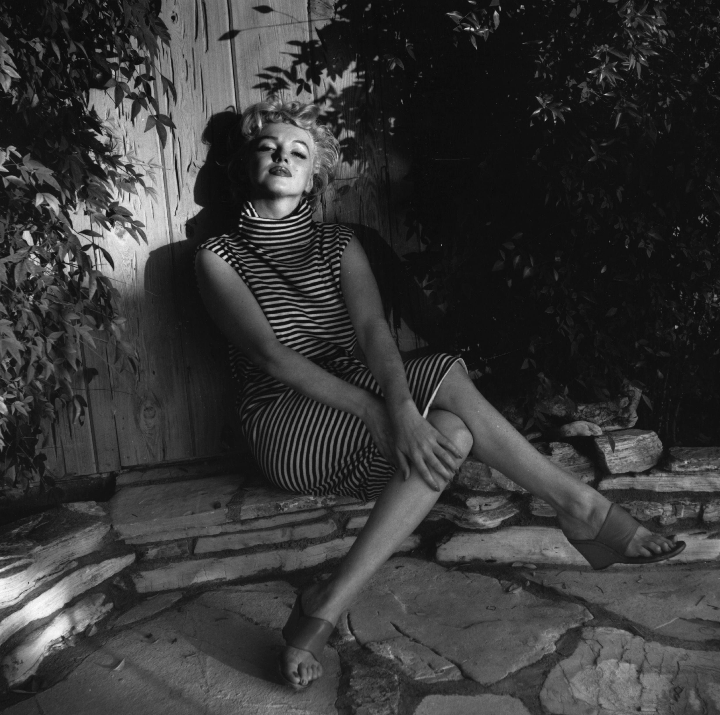 Marilyn Monroe sits in shadow against a garden fence, 1954