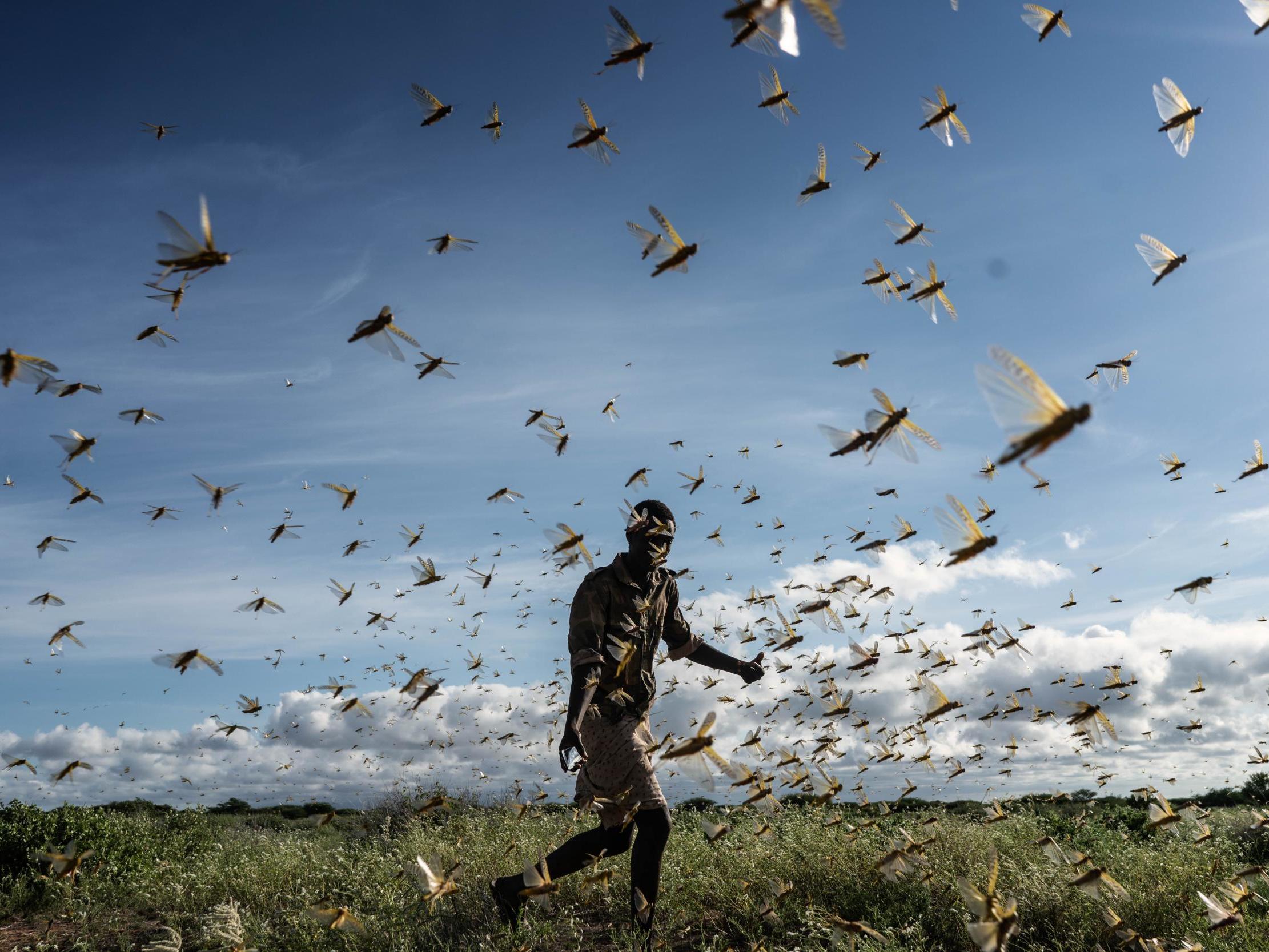 The outbreak is hitting Somalia the hardest, with Kenya, Ethiopia, Uganda and South Sudan also heavily impacted