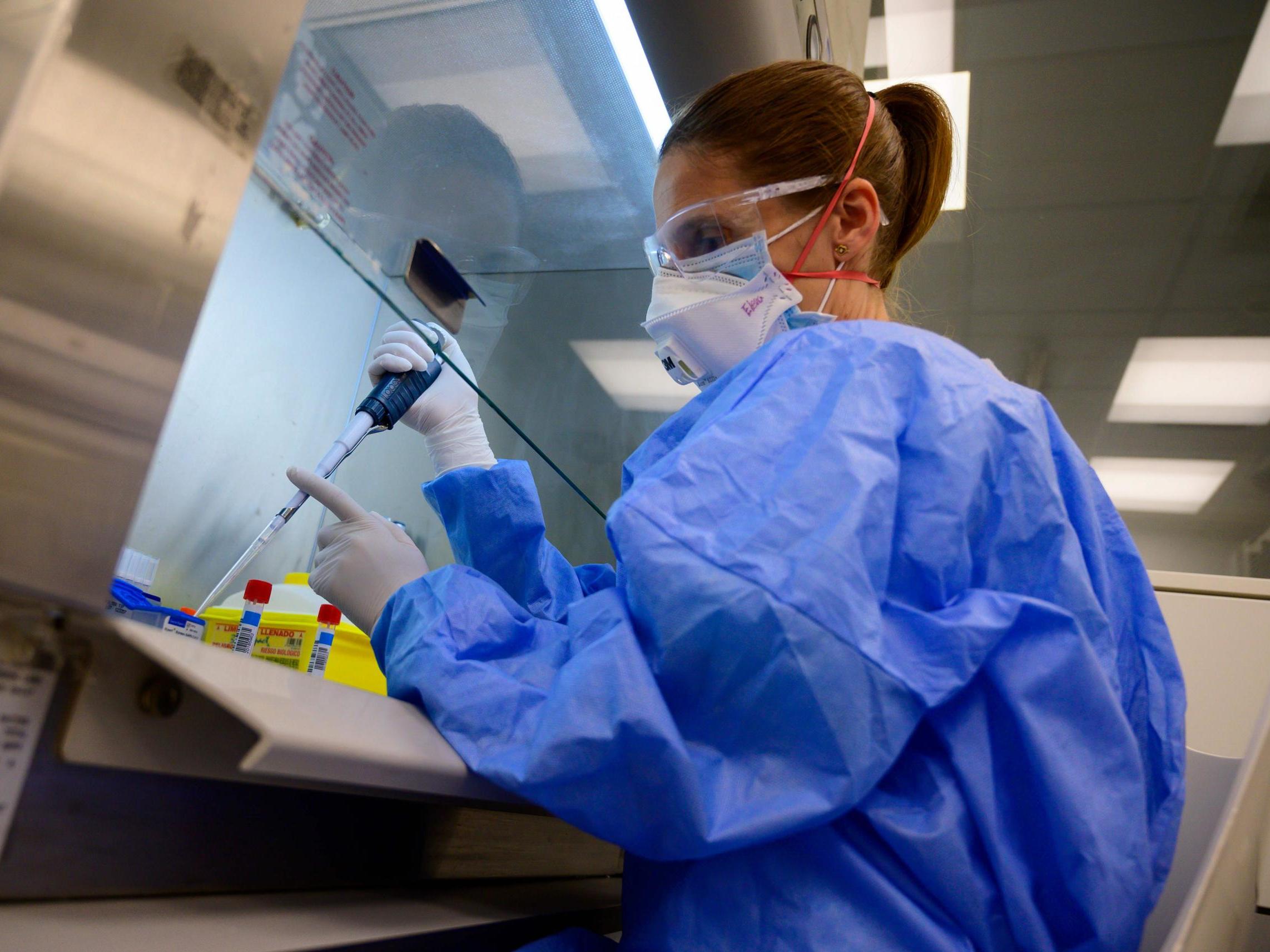 A scientist works at the microbiology lab of the Gregorio Maranon General Hospital in Madrid on 5 June