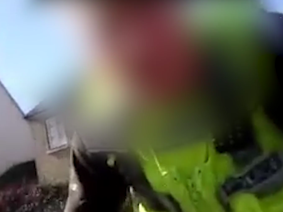 UK police to examine video of white officer stopping black driver