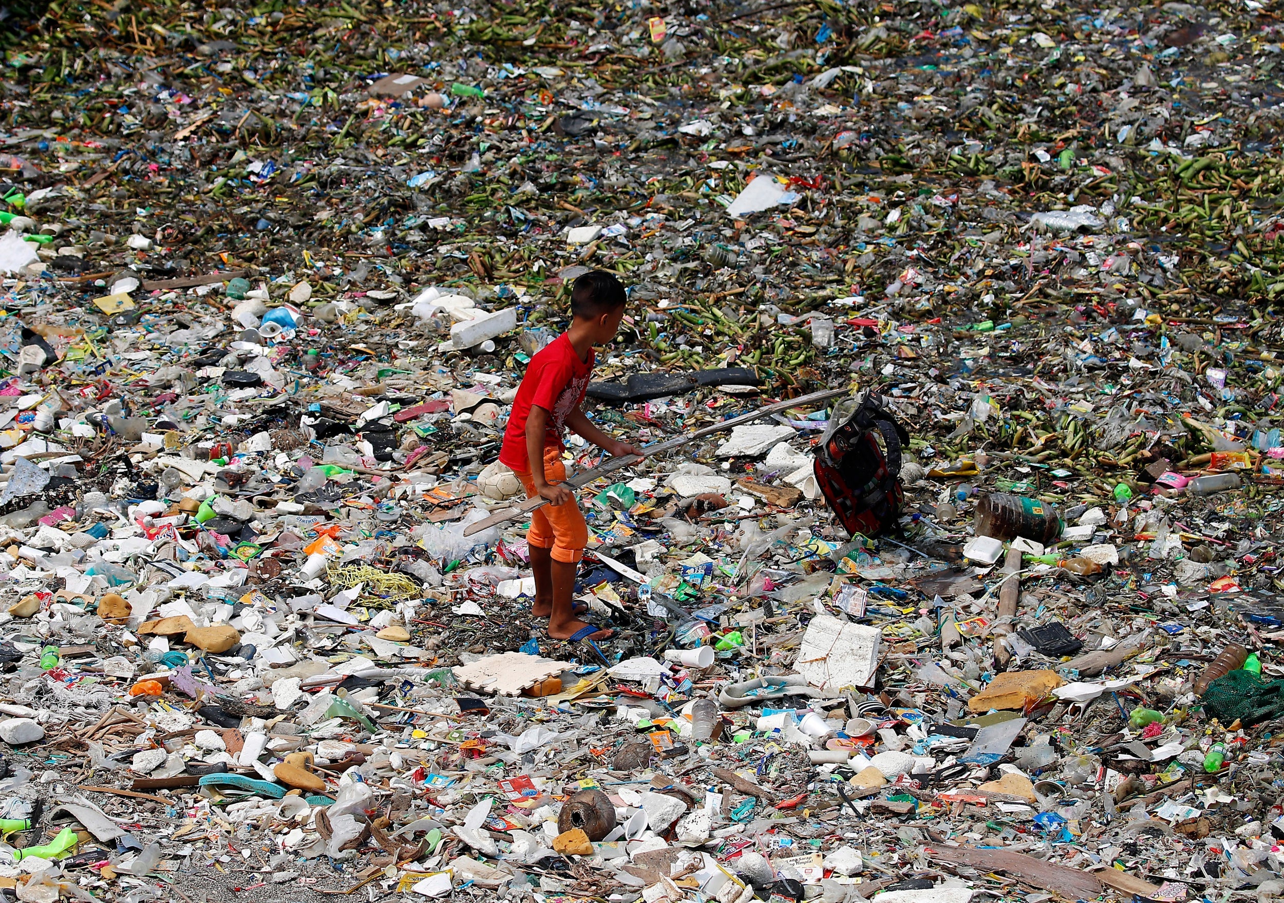 Pollution also promotes resistance