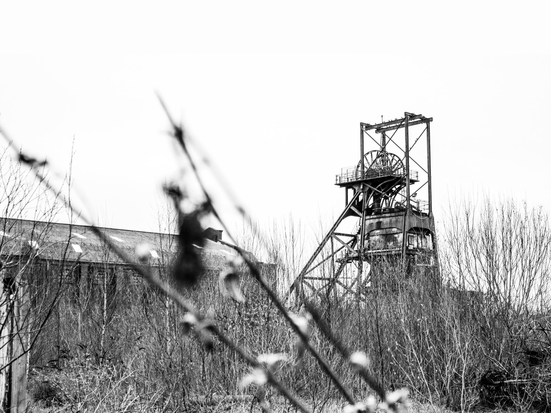 There are tens of thousands of abandoned mines in the UK according to the Coal Authority