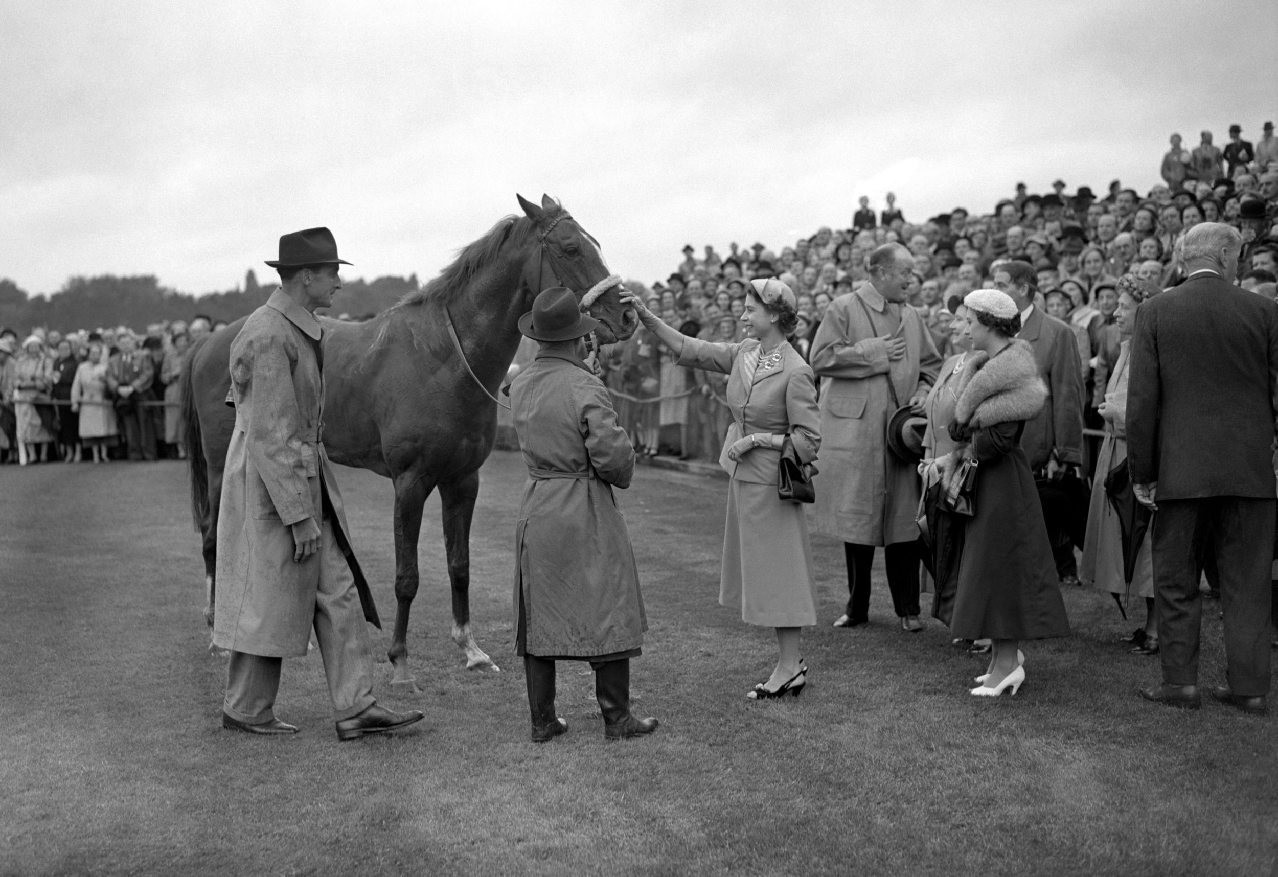 The Queen smiles and gives her four-year-old colt Aureole a congratulatory pat on the nose after his victory in the King George VI and the Queen Elizabeth Stakes at Ascot races, 17 July 1954