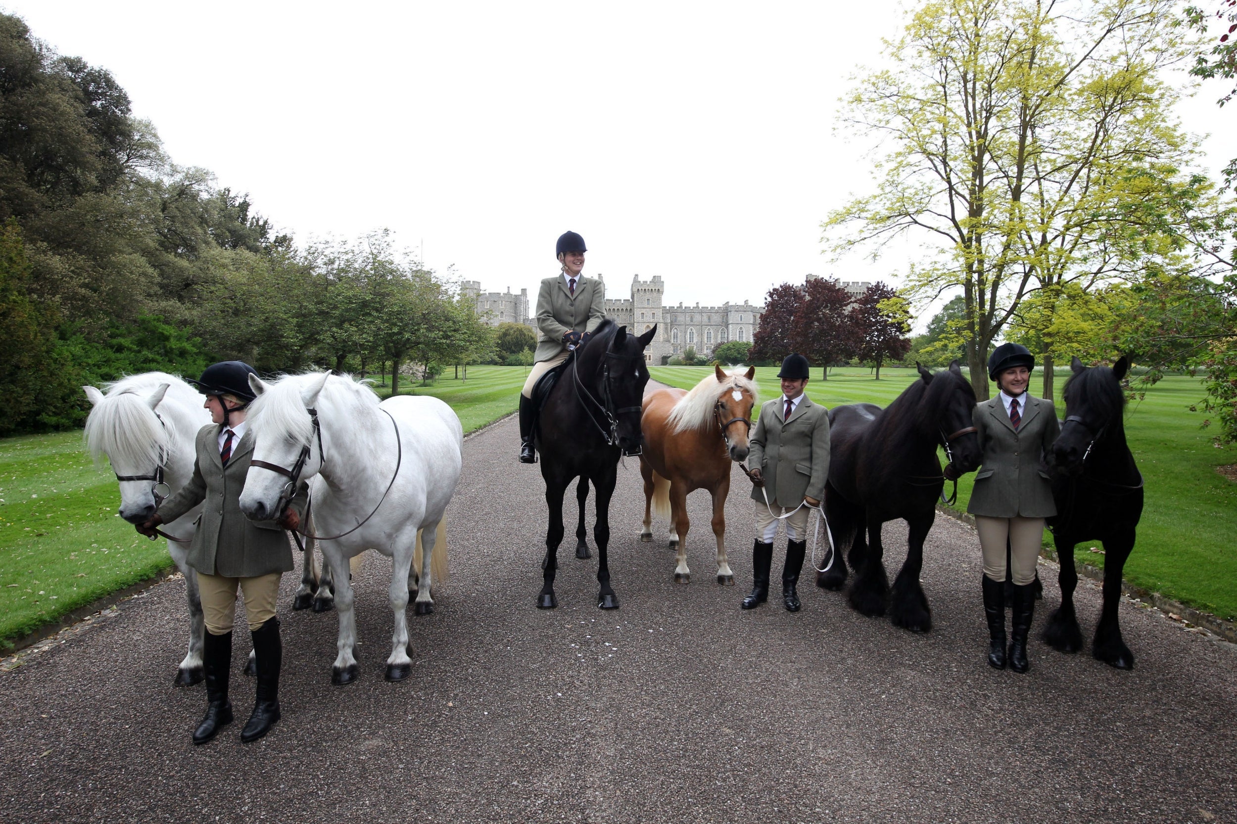 The Queen’s horses (left to right) Alpine, Mingulay, George (named after Queen Elizabeth II’s father), Anson, Dawn and Emma with grooms on the private grounds of Windsor Castle, 12 May 2015