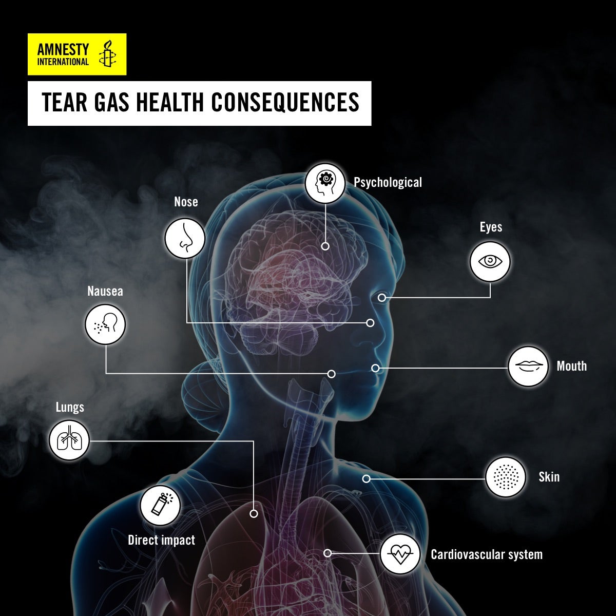 Amnesty’s report says that ‘so little is known about what exact chemical combination is present inside each brand of teargas canister’