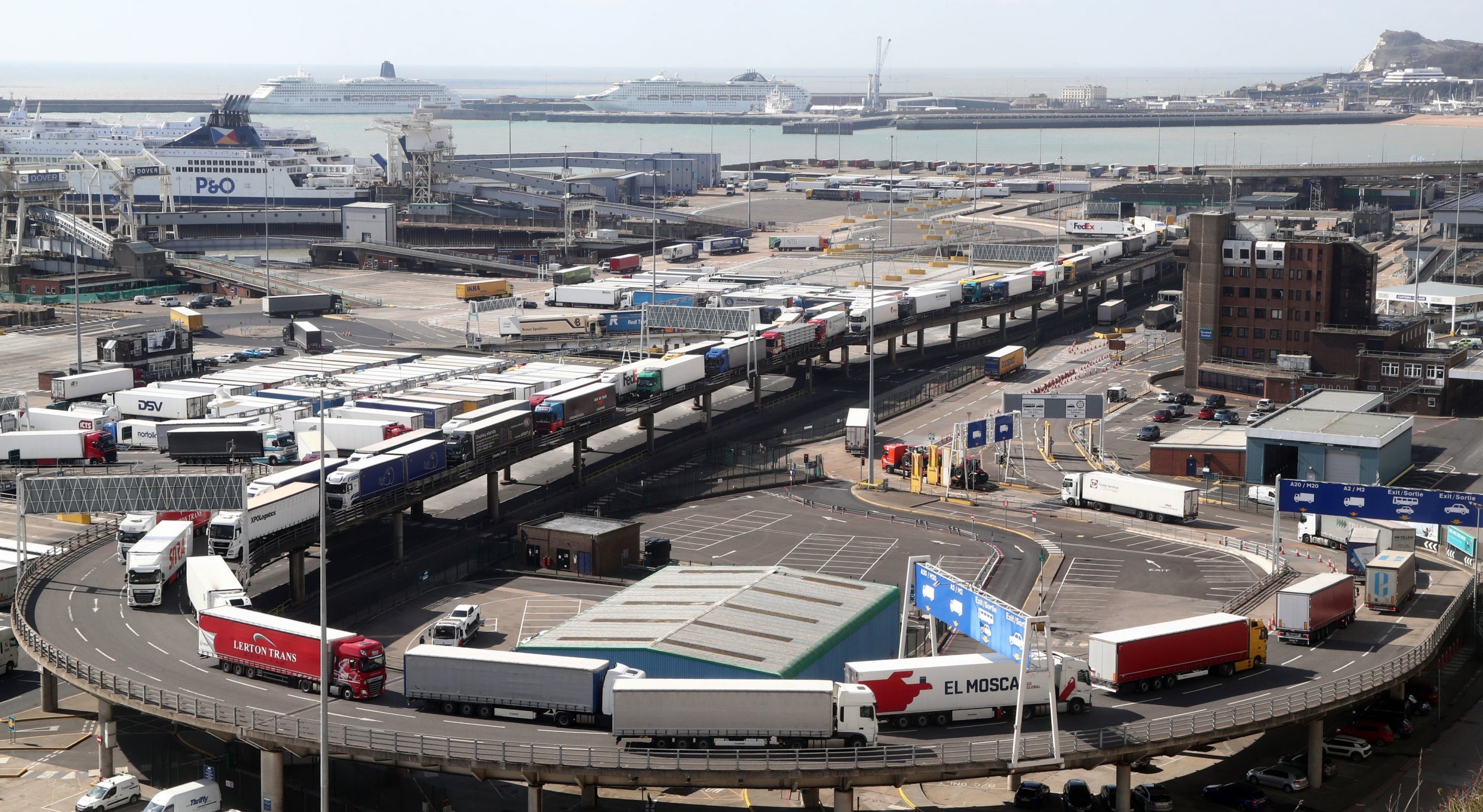 Brexit: Fears of dead chicks in lorries and 10 months of ports chaos detailed in new government document