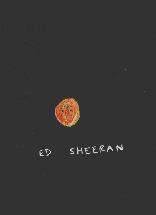 Noel Fielding’s portrait of Ed Sheeran