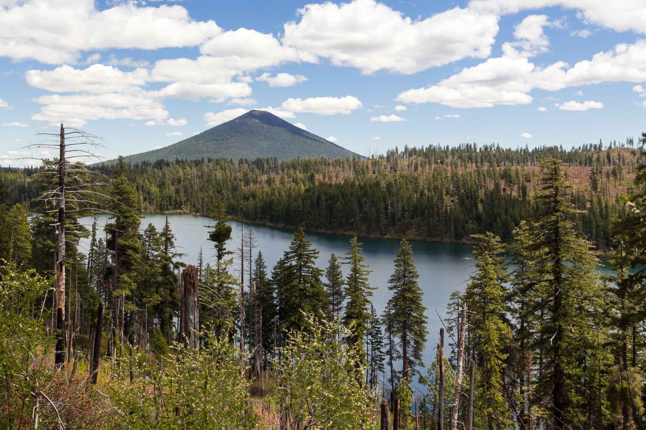 Suttle Lake landscape view from above. Mountain and hills covered by pine forest on a background Central Oregon, USA