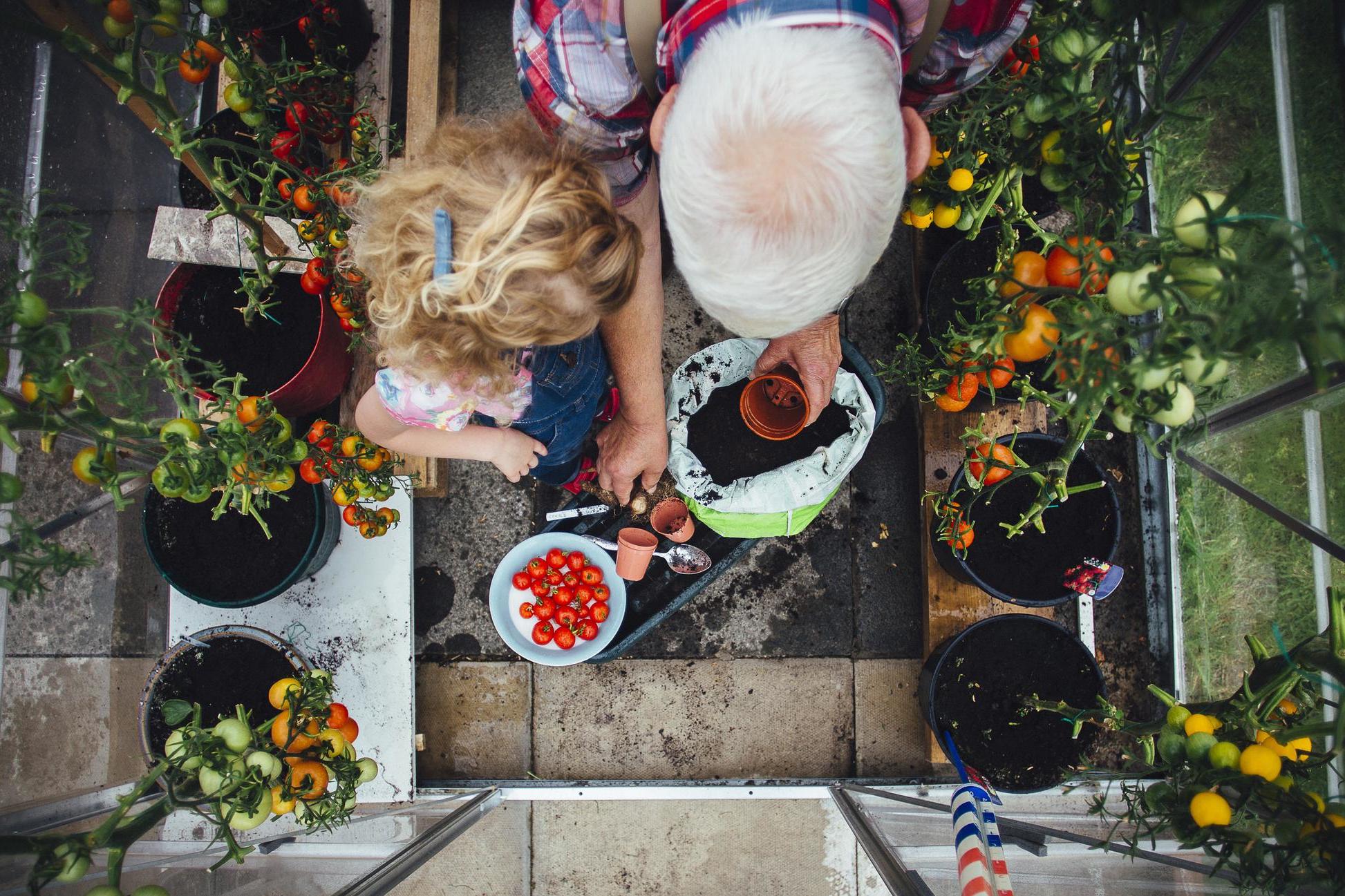 Lockdown has led to a growing interest in food self-sufficiency