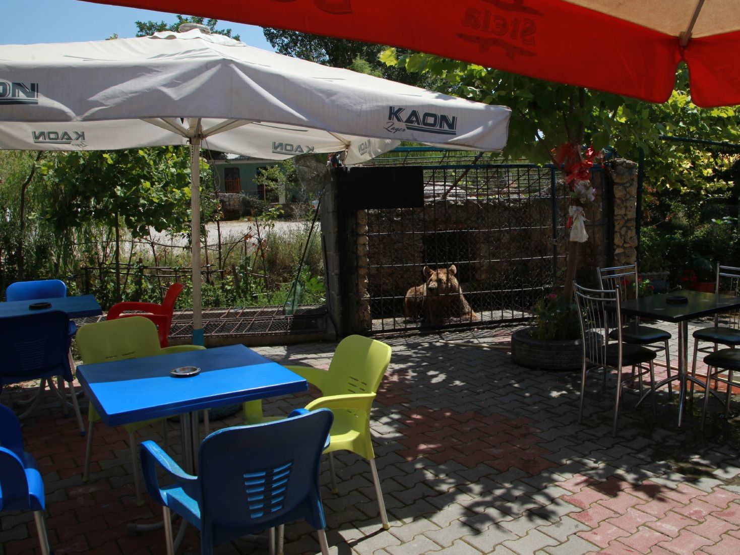 A bear kept in a cage at a restaurant