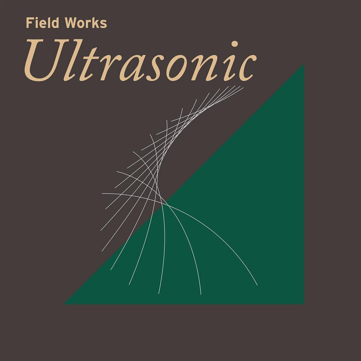 ‘Ultrasonic’: fourteen tracks evoking the mystery of bats’ nocturnal escapades