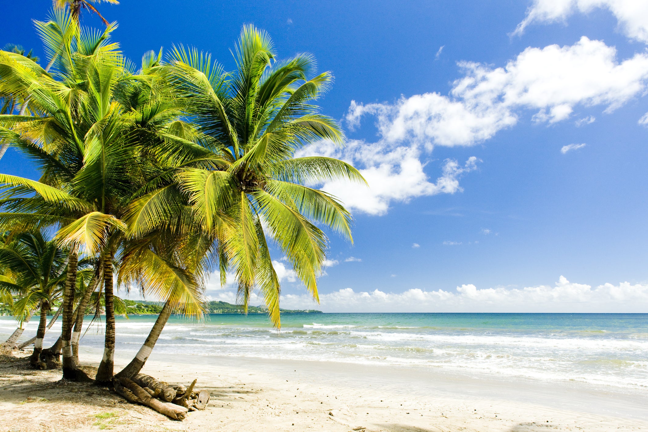 Englishman’s Bay, Tobago