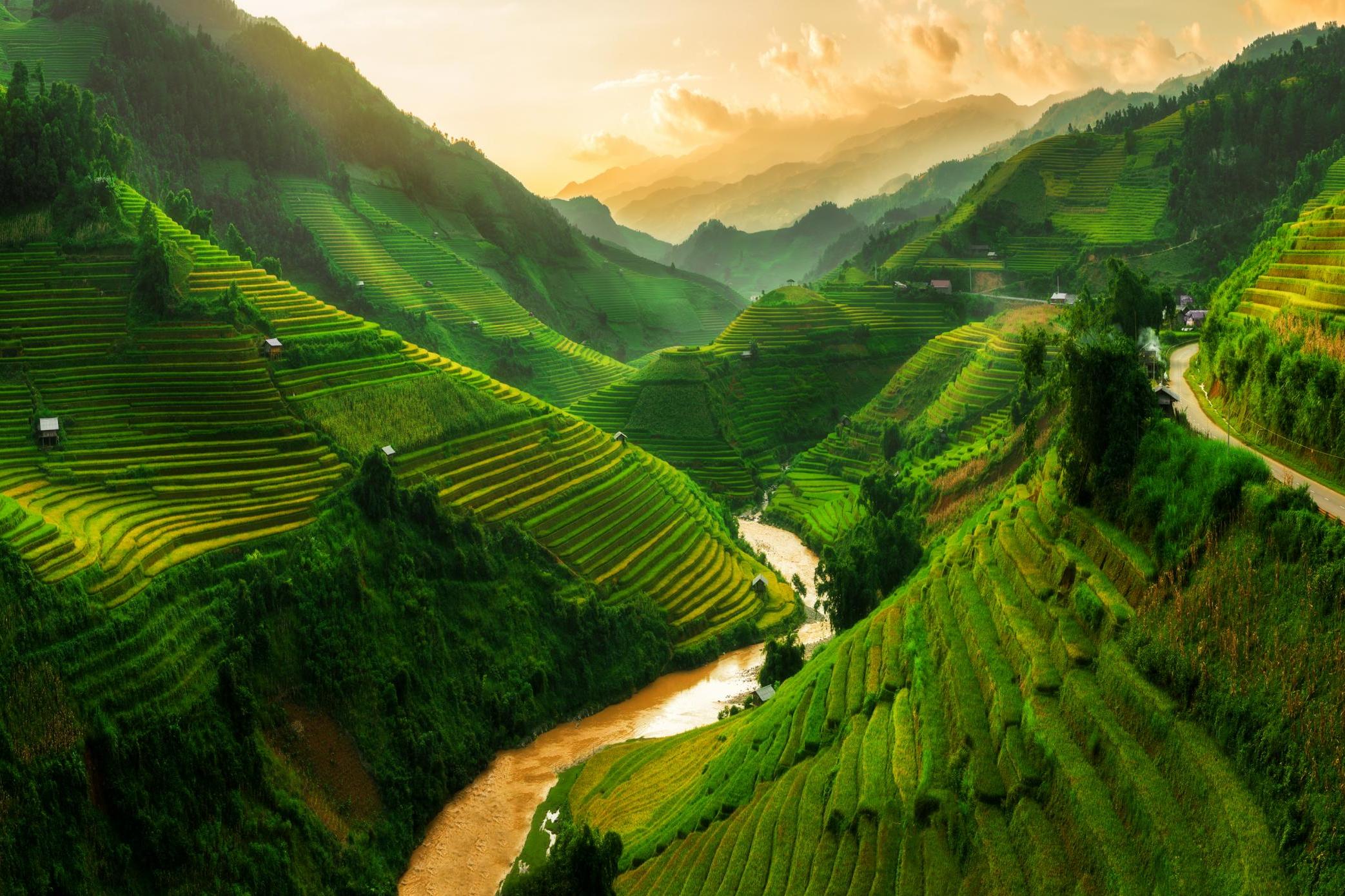 Terraced rice fields near Sapa in Vietnam