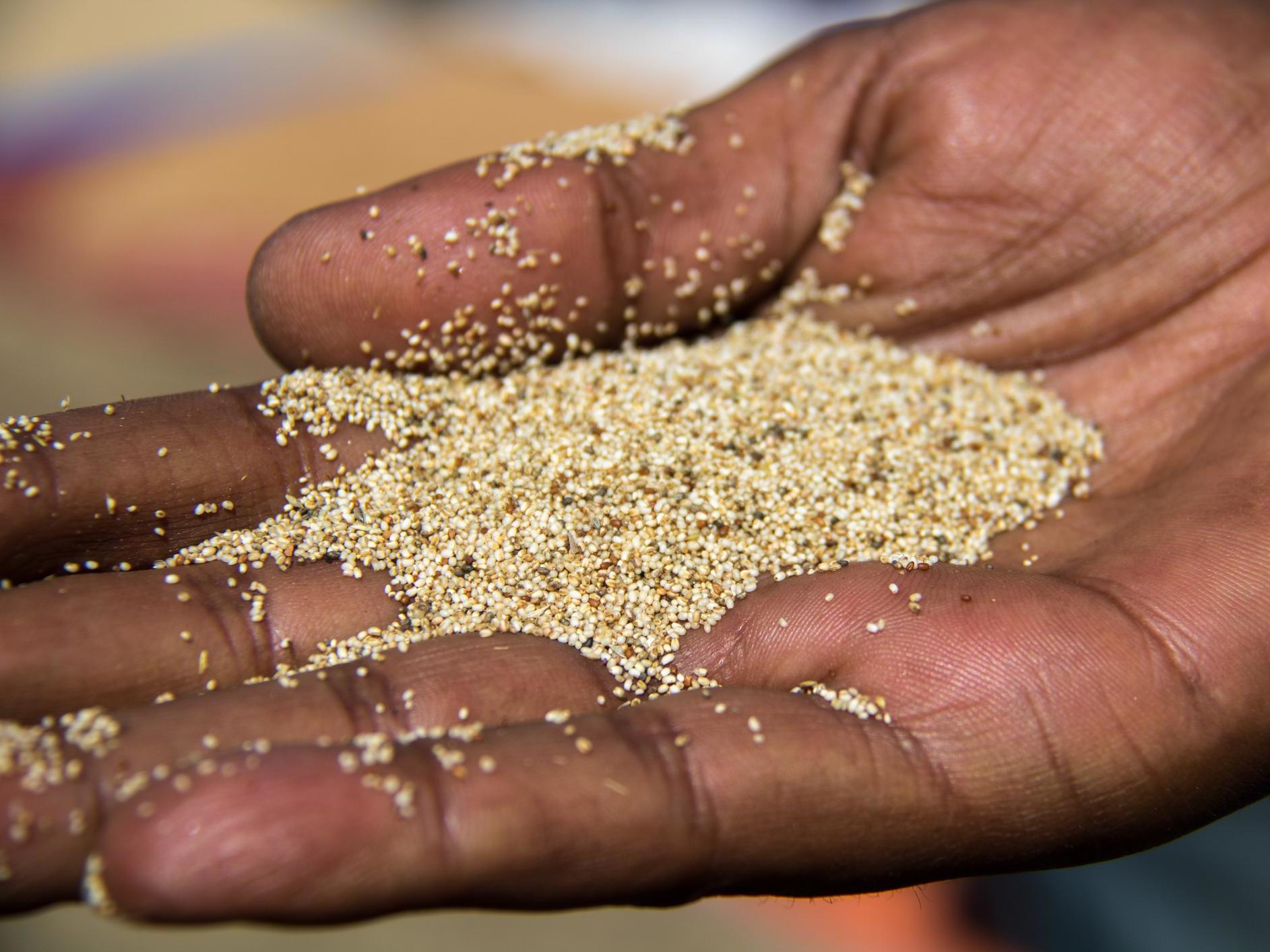 Teff for sale at a market in southern Ethiopia