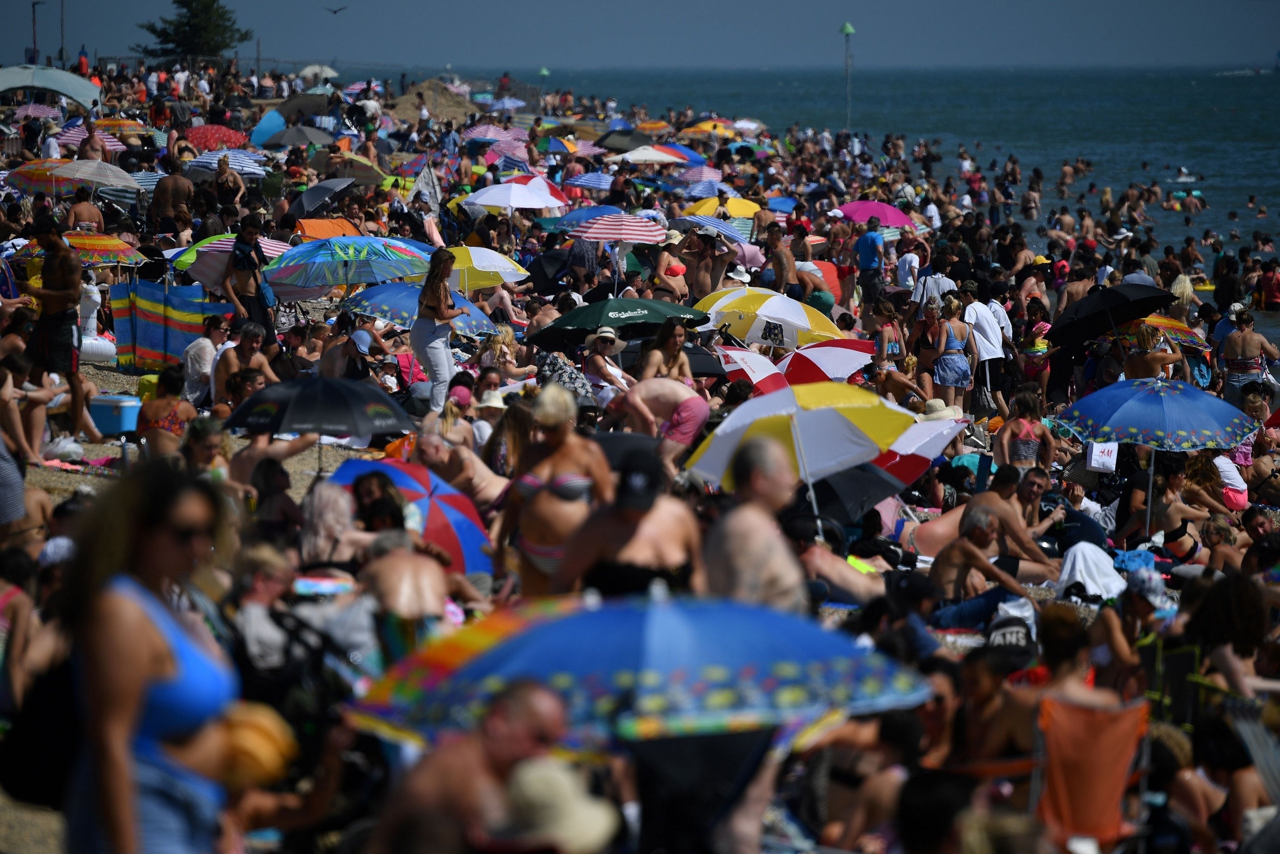 ‘Suffice to say, the drive to Cornwall took a mere eight hours’