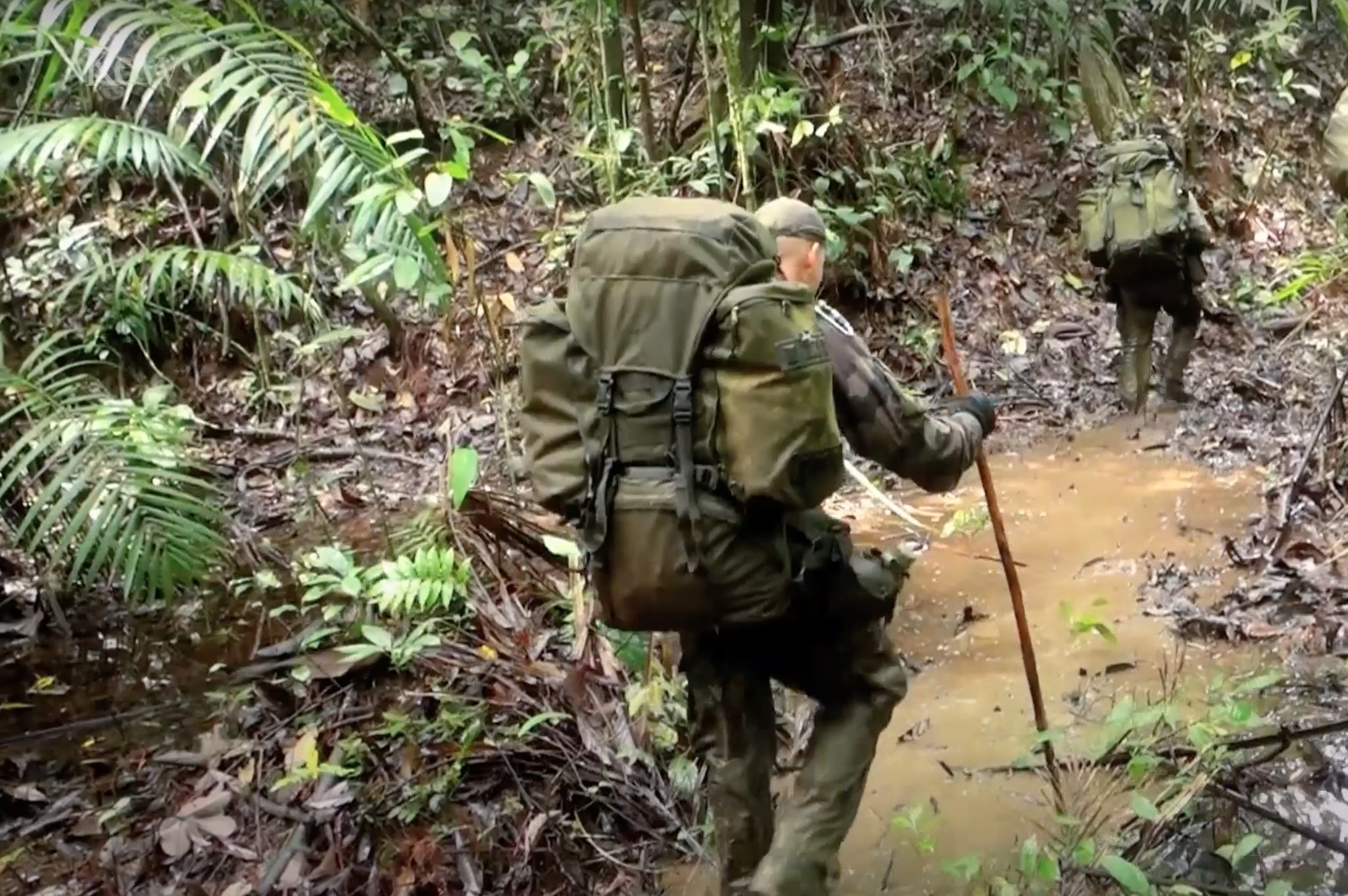 Plants have been collected from all corners of the globe