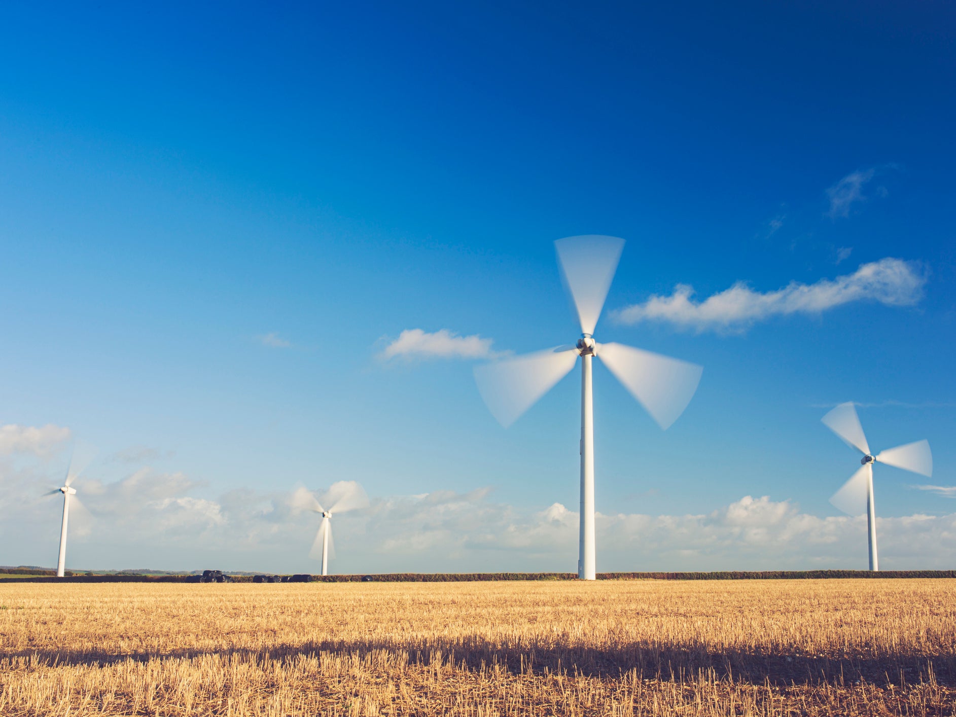 Wind farm in winter in Cornwall. 'At the coldest time of year, wind and renewables rewrote the record books', industry body says