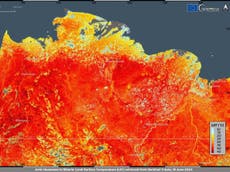 Record Arctic heatwave sees Siberia wildfires increase fivefold