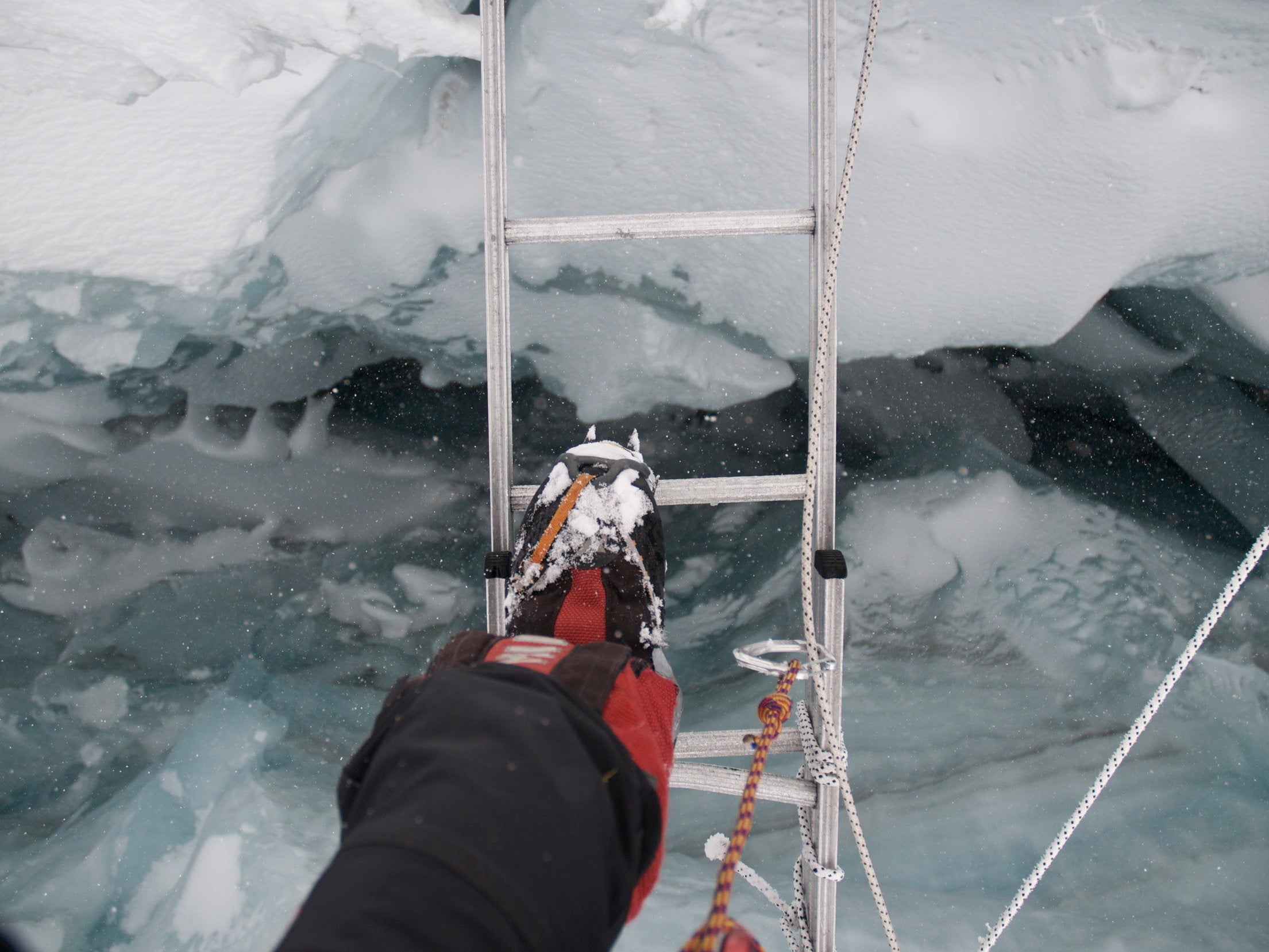 Bull crosses a ladder bridge on the ascent of Everest