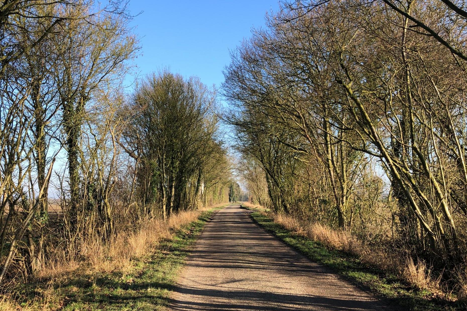 The open road beckons in Essex