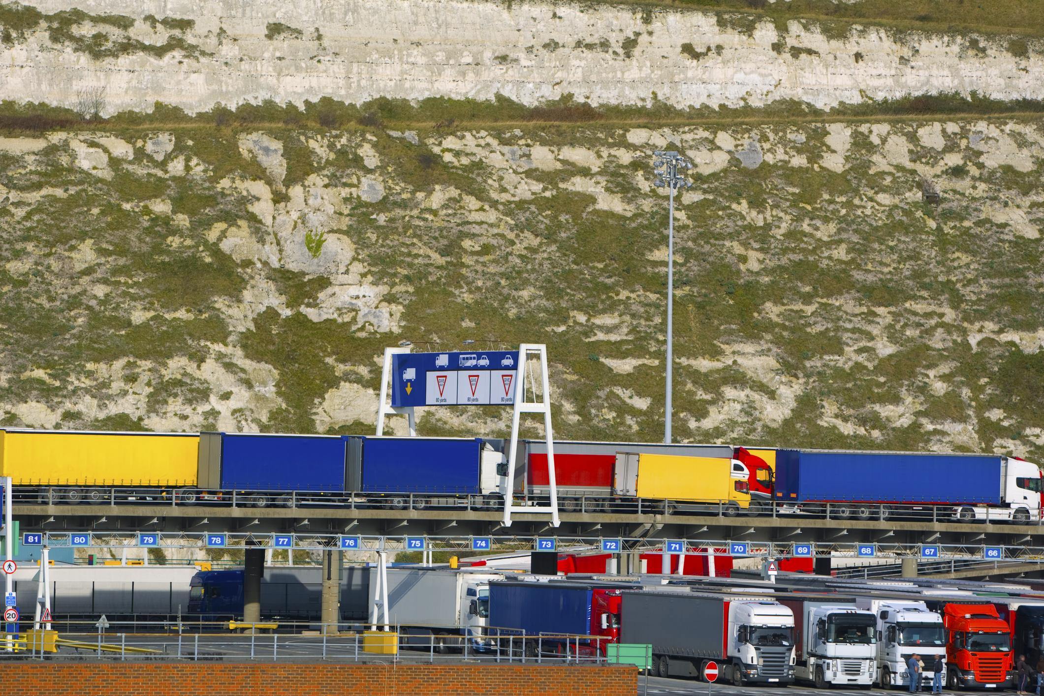 The government is keen to avoid tailbacks at Dover