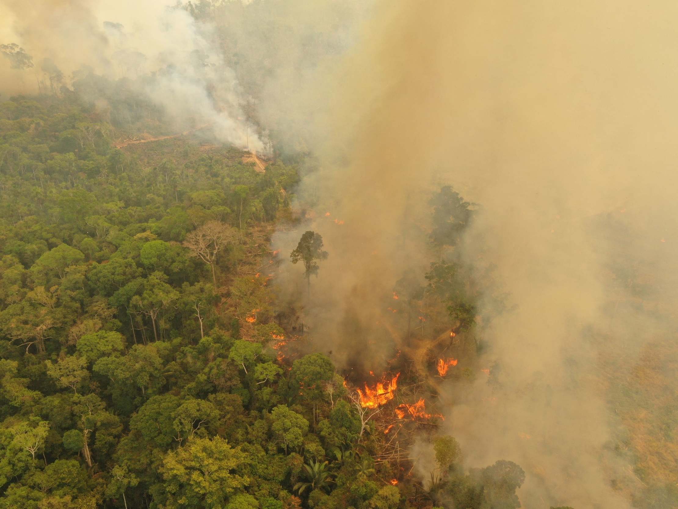 A fire burning in Porto Velho, Brazil, one of the world's oldest and most diverse tropical ecosystems and one of the most endangered on the planet