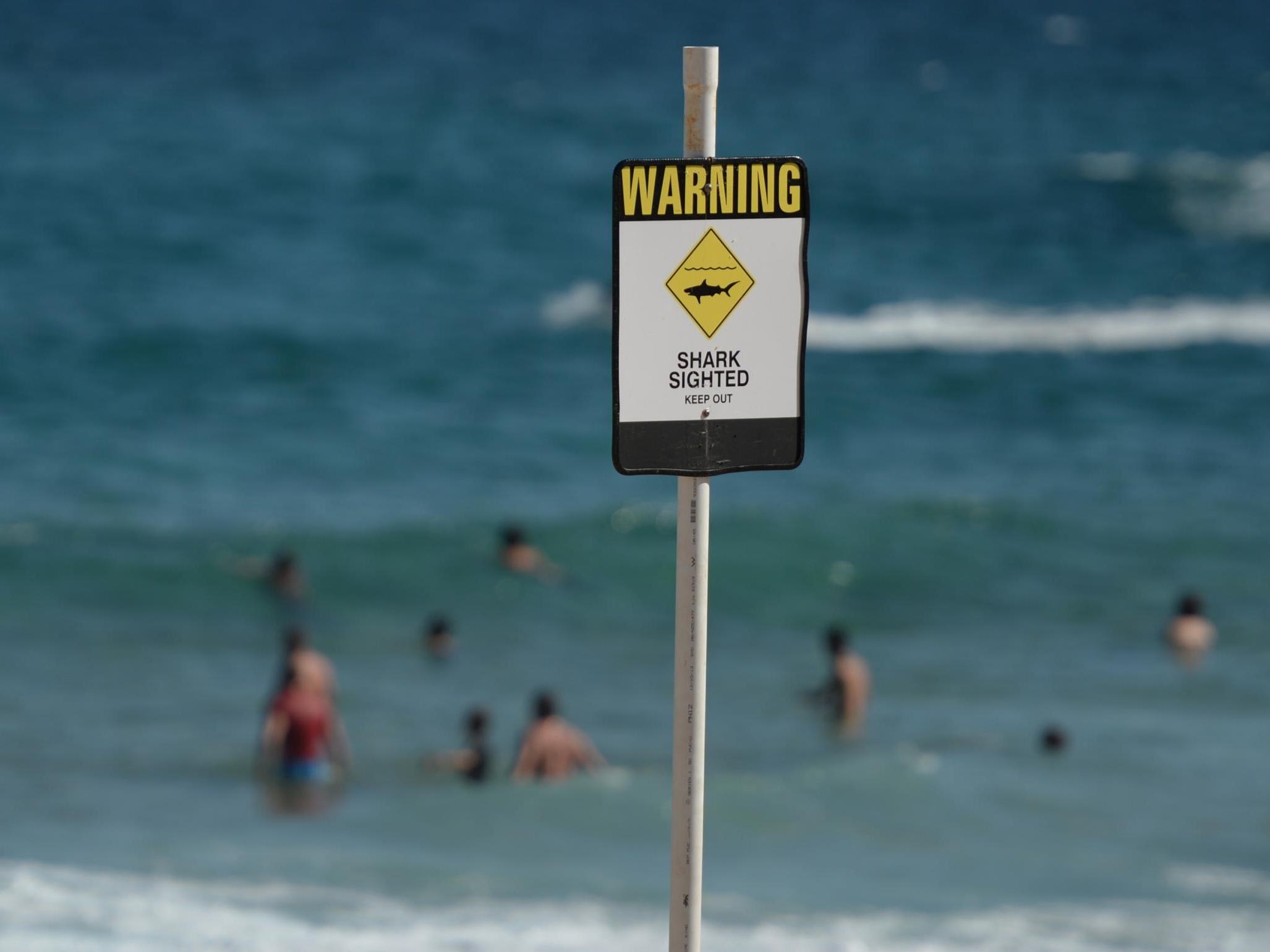 At least four people have died in shark attacks in Australia this year