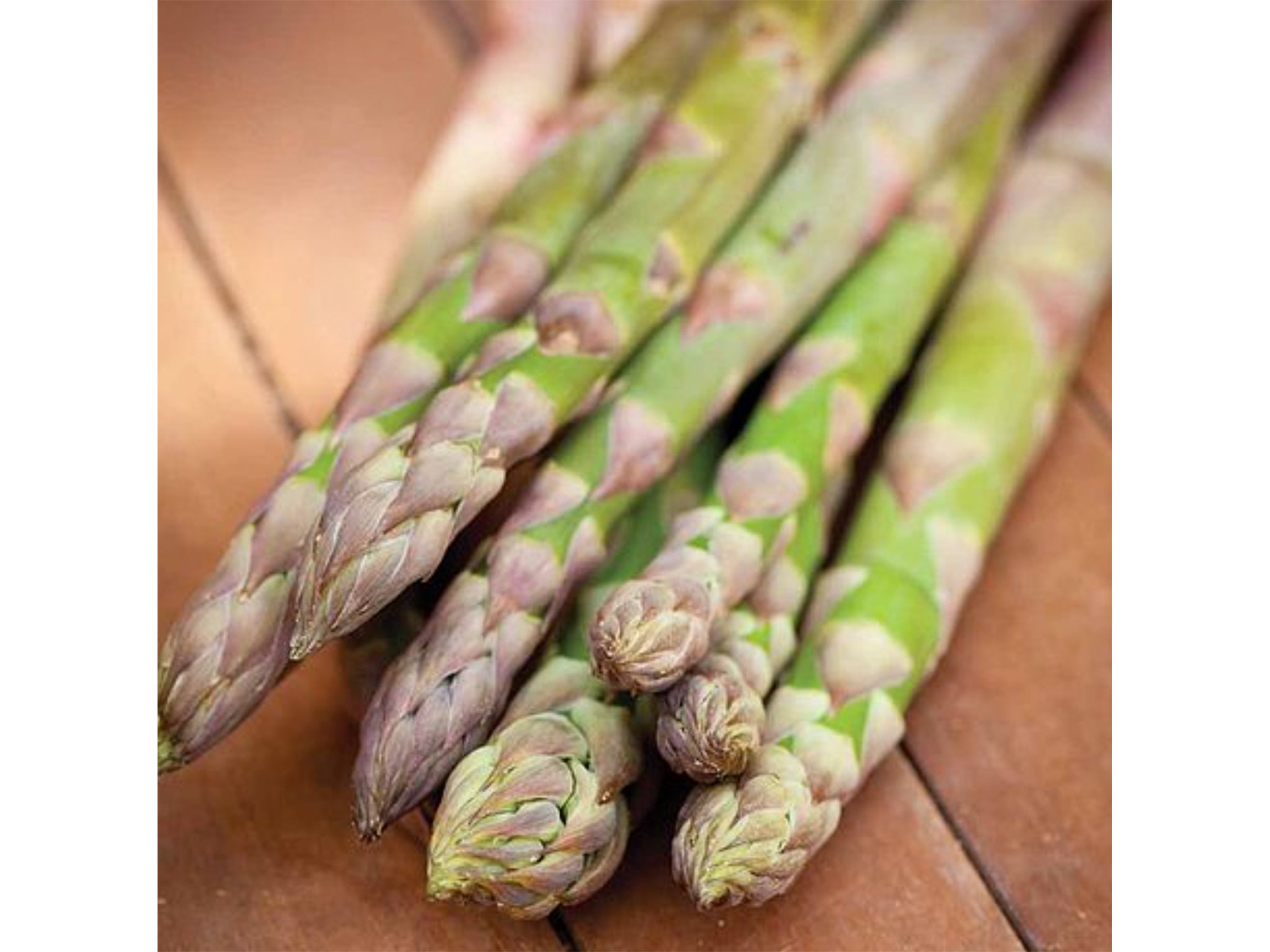 If you're fortunate to have a big enough space to fit a greenhouse, try growing asparagus