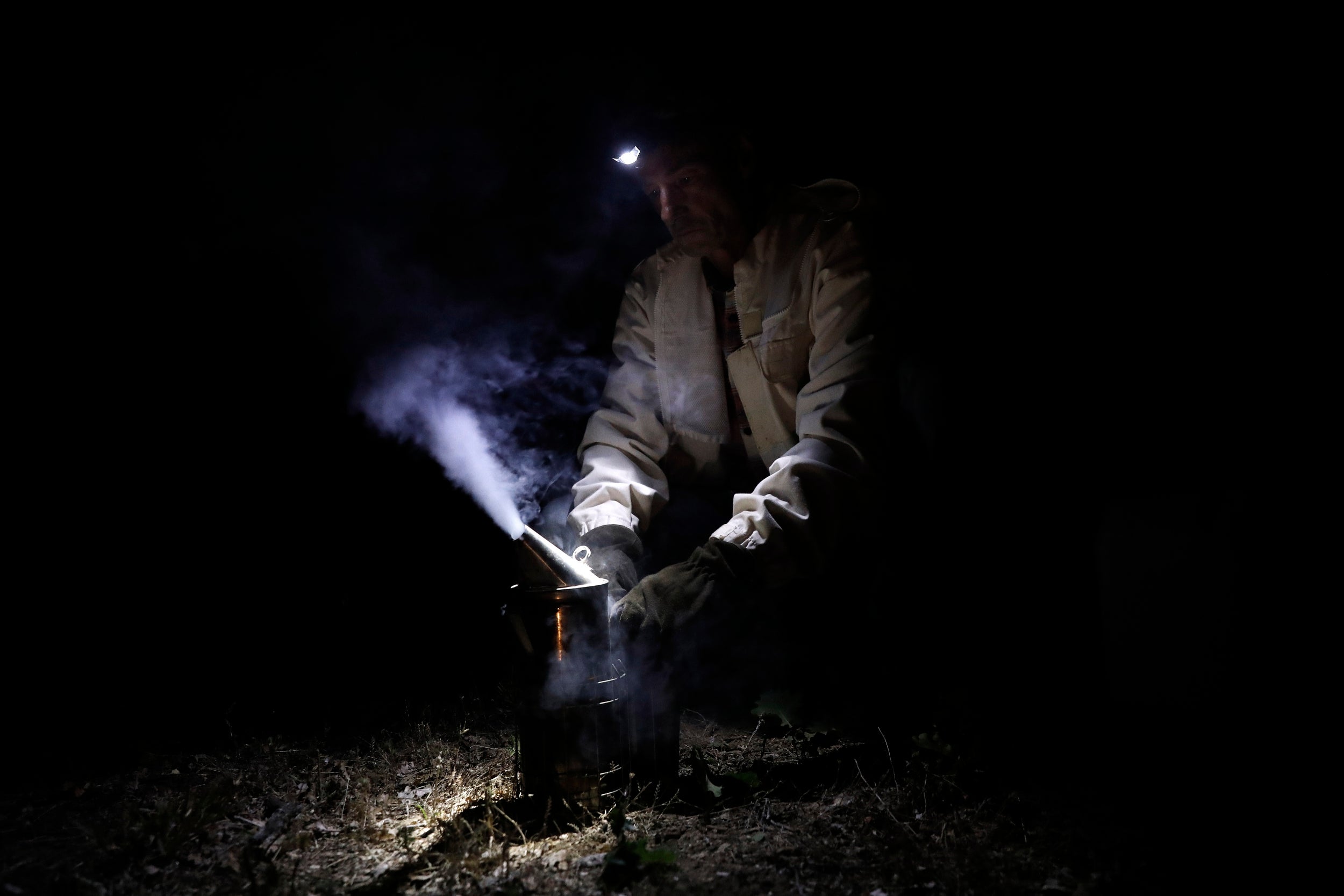 The beekeeper prepares a smoker filled with dry herbs