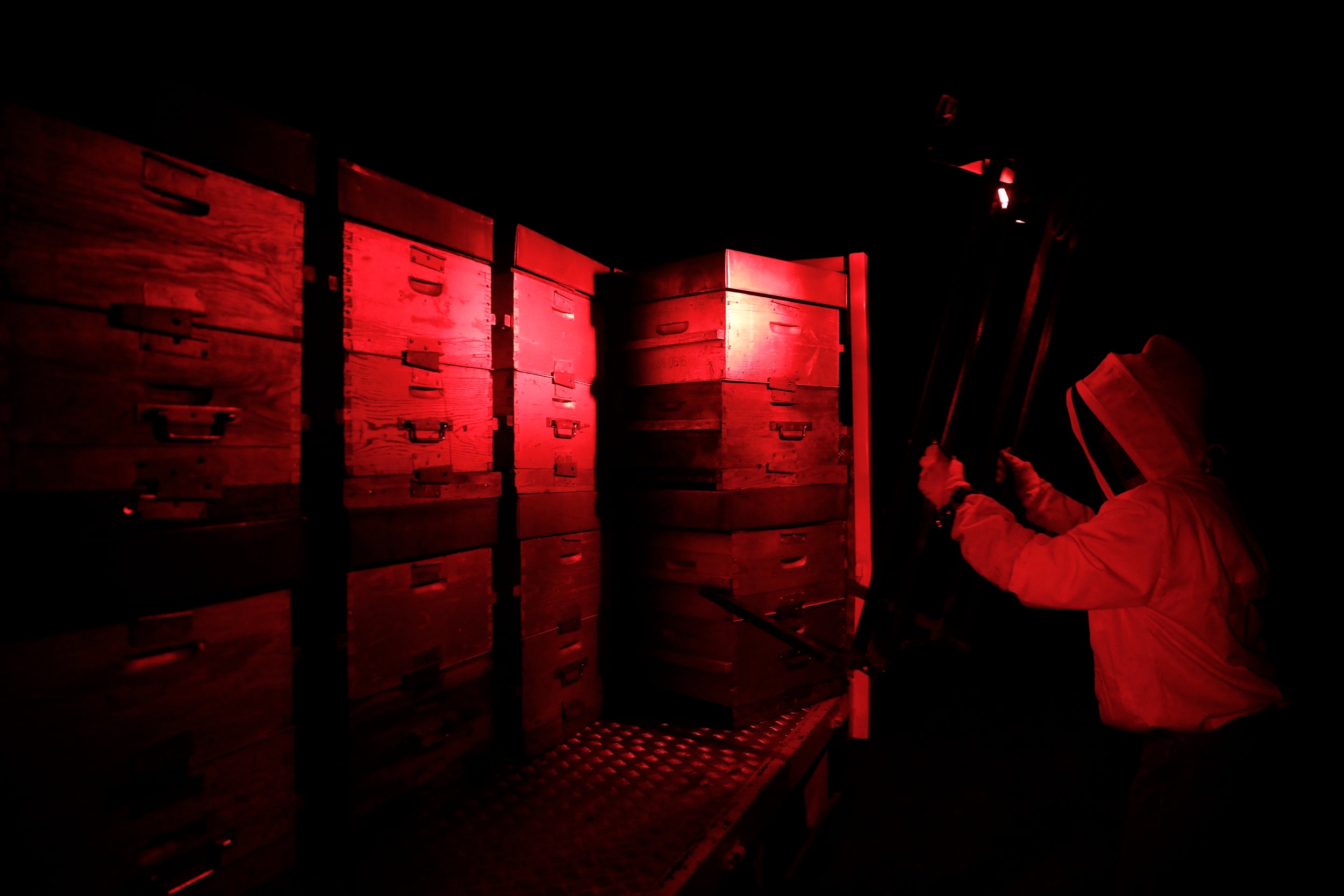 Under a red glow, Payen unloads the beehives from his truck