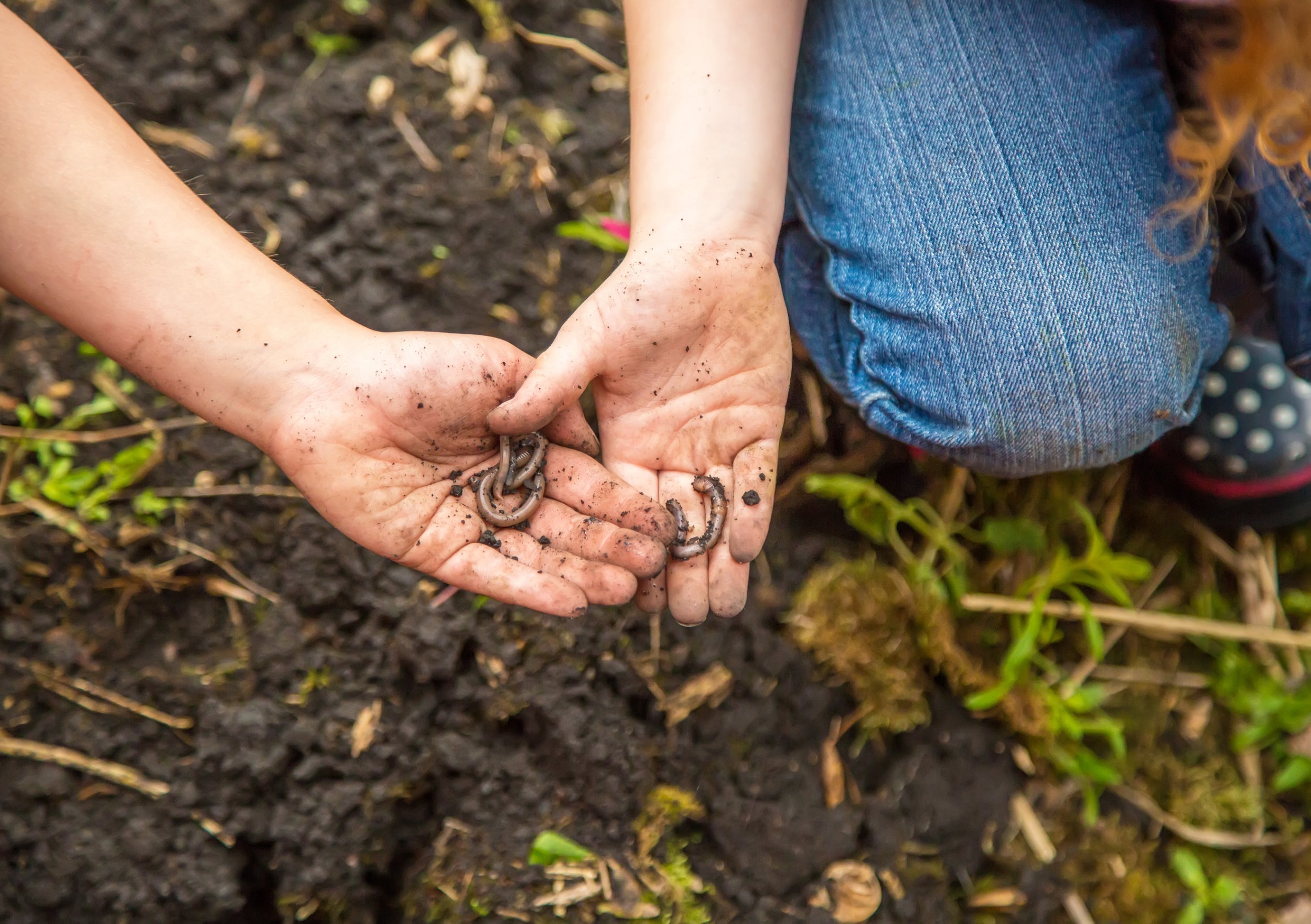 Many kids love playing with and learning about bugs and worms