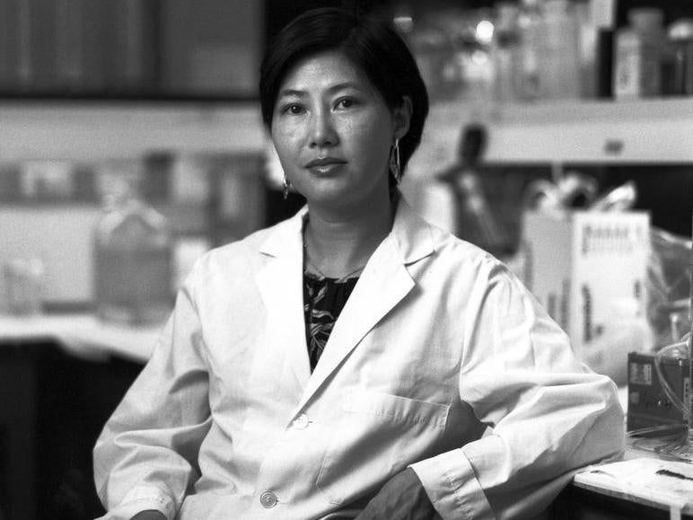 Wong-Staal’s retrovirus studies also helped combat leukemia