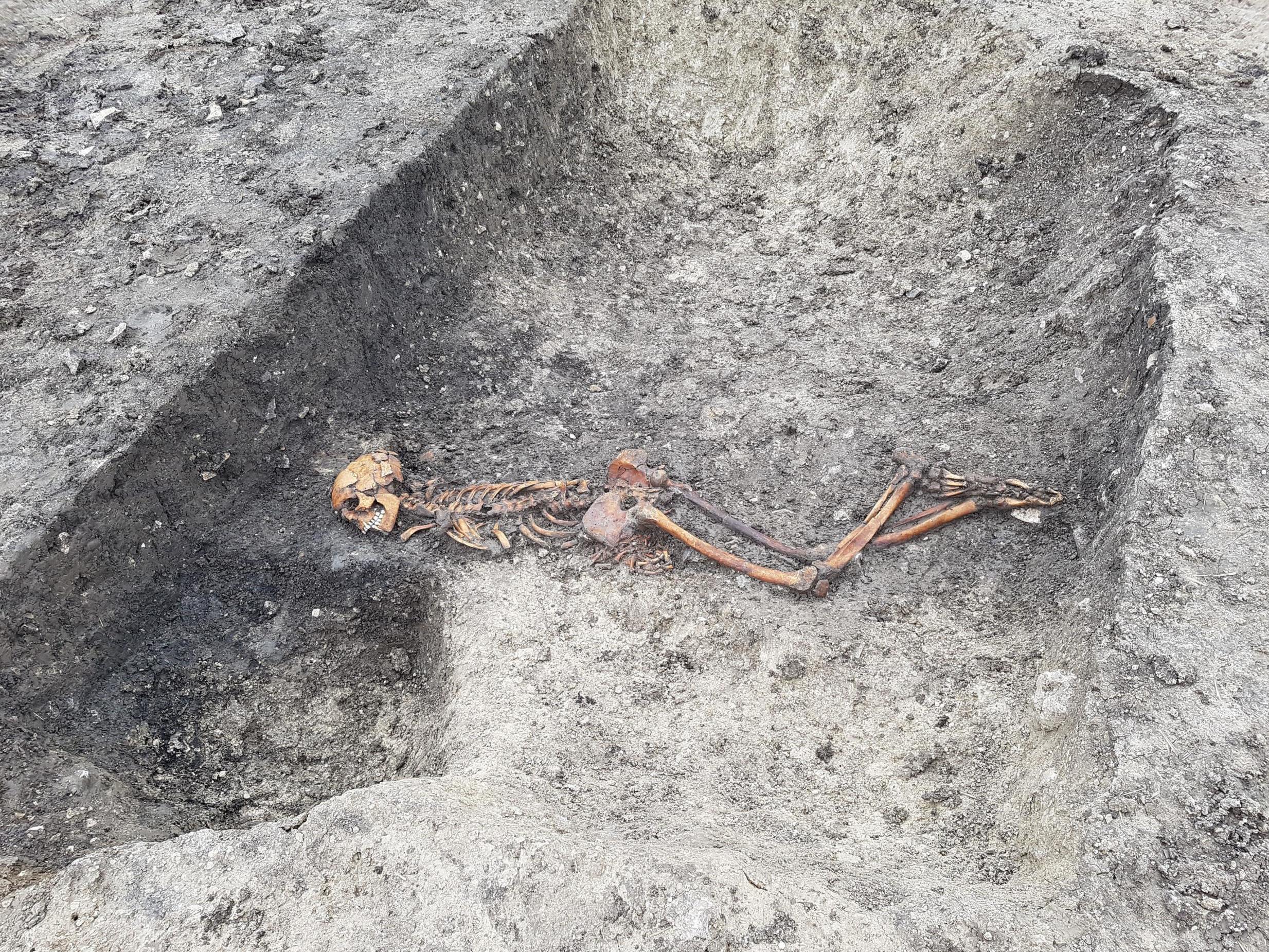 Archaeological works are being carried out on the route of the HS2 high-speed railway and uncovered an Iron Age murder victim and timber Stonehenge-style formation during excavations at Wellwick Farm