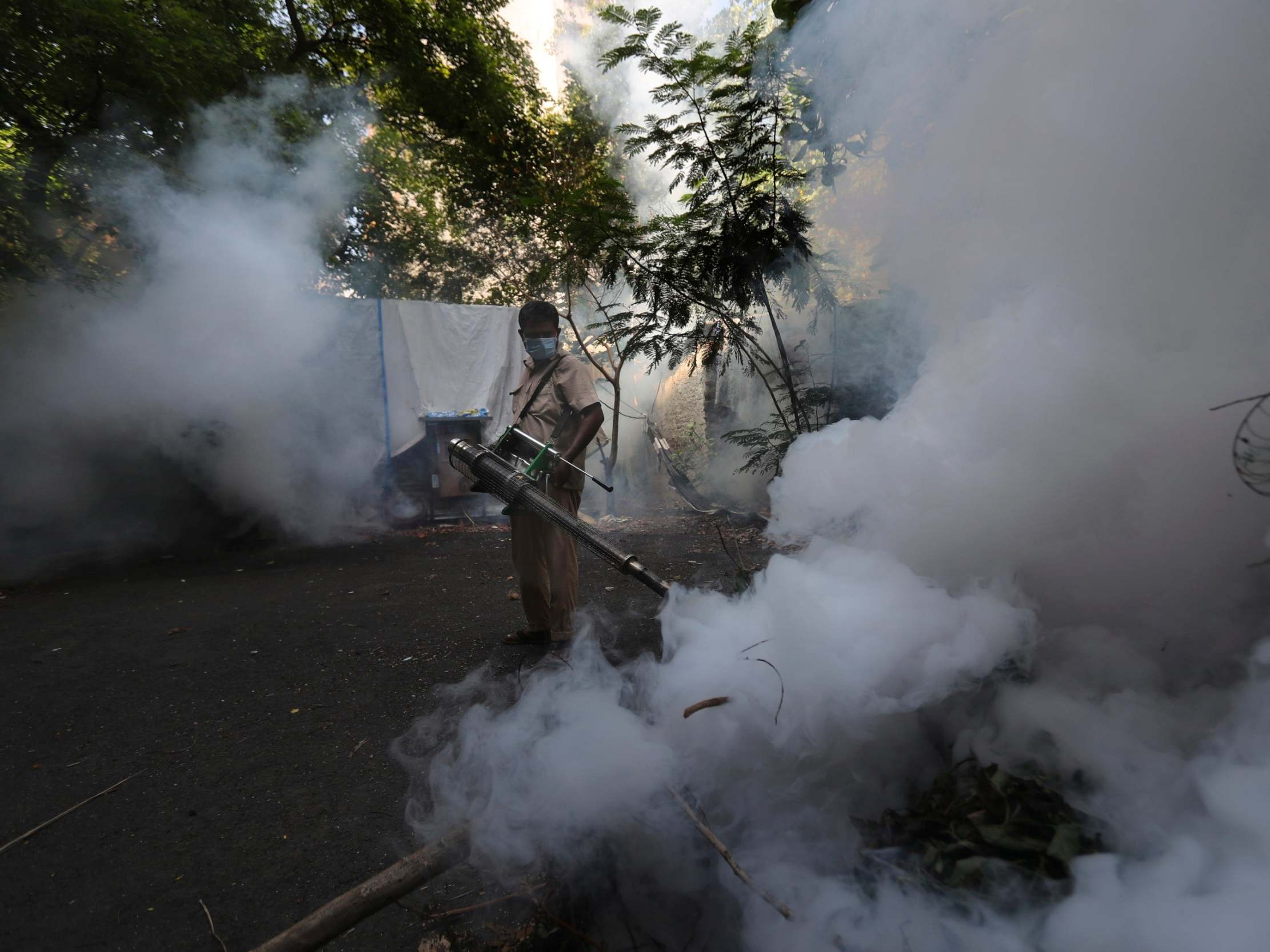 Severe dengue cases may require hospitalisation