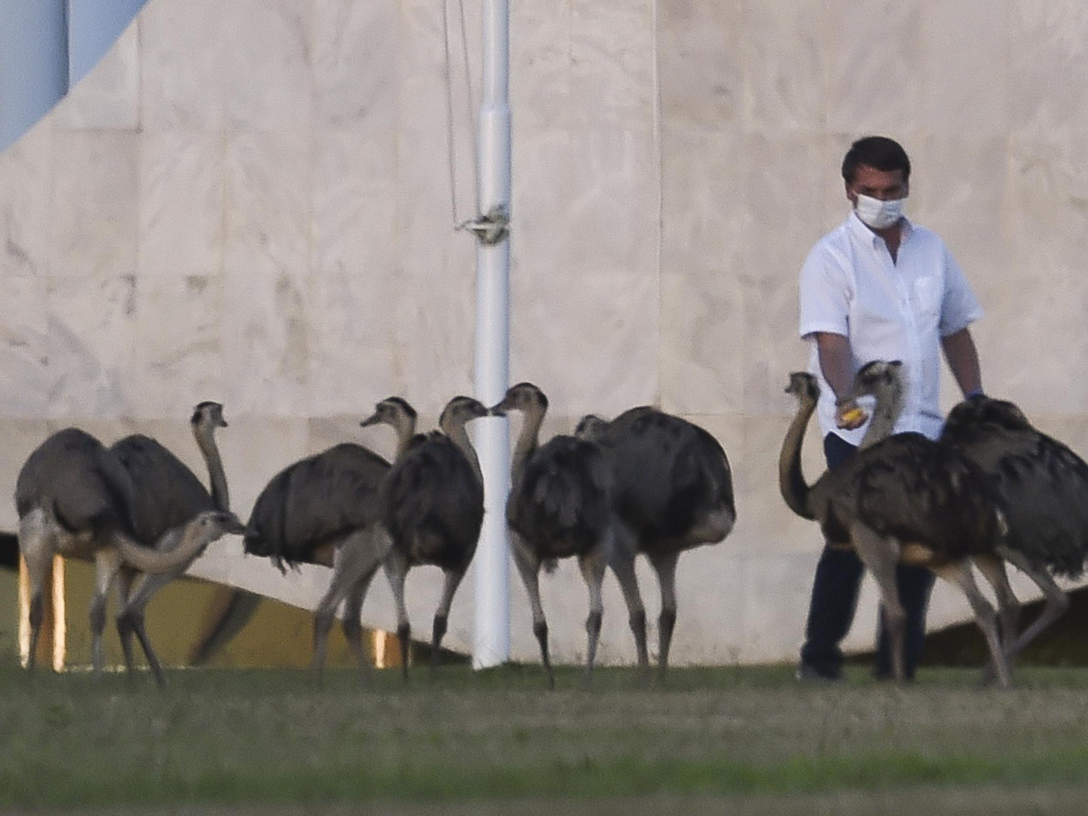 Bolsonaro says he ‘can’t stand’ being in isolation