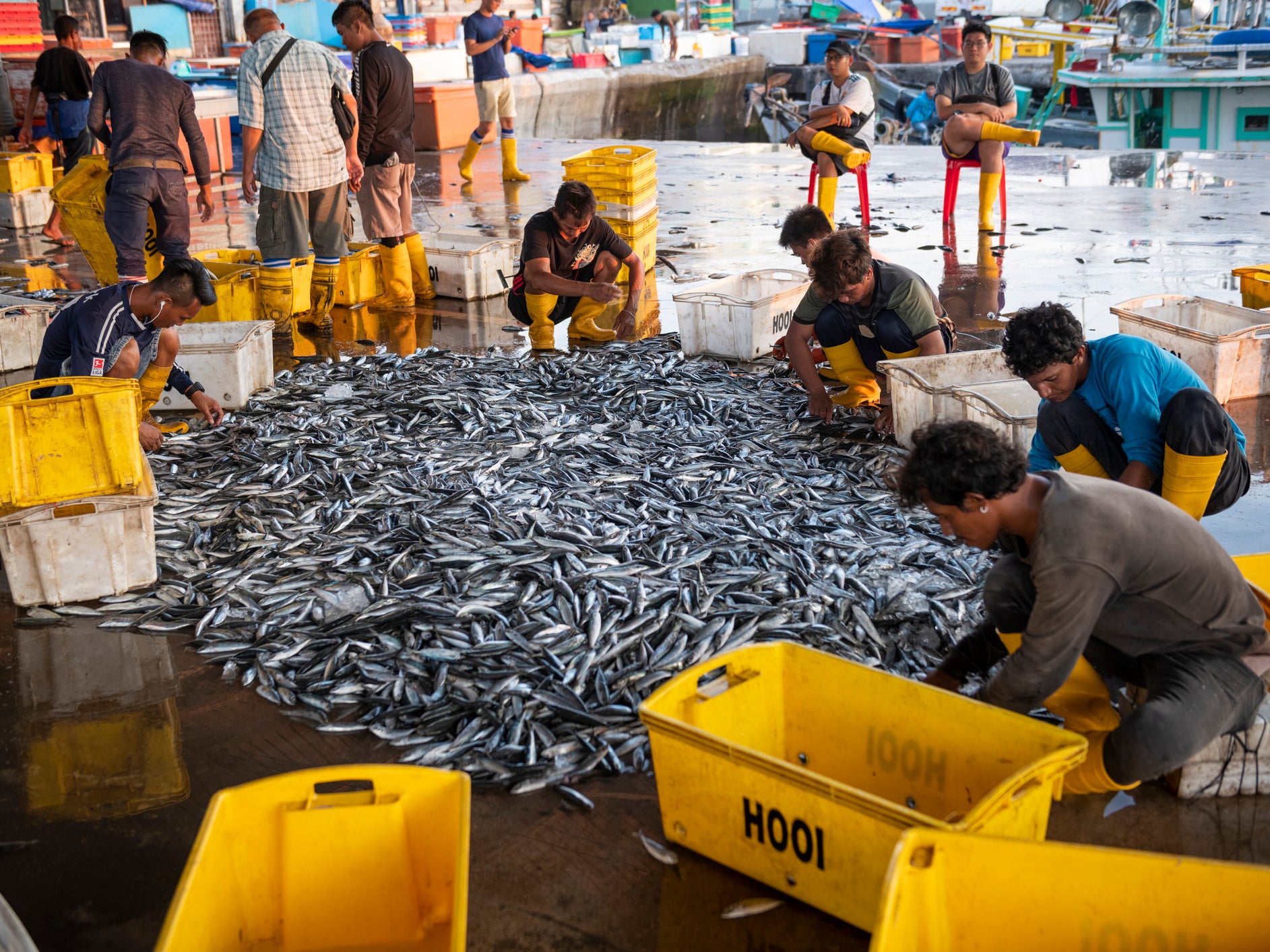 Fishermen sorting through catch of fish in Kota Kinabalu, Malaysia. It takes five times the effort to catch the same amount of fish now as it did in 1950, according to the WEF