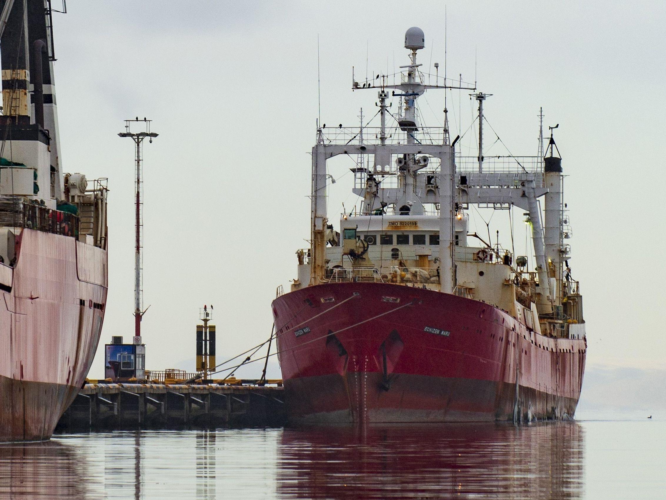 The Echizen Maru fishing trawler remains docked at Ushuaia's harbour in Tierra del Fuego Province