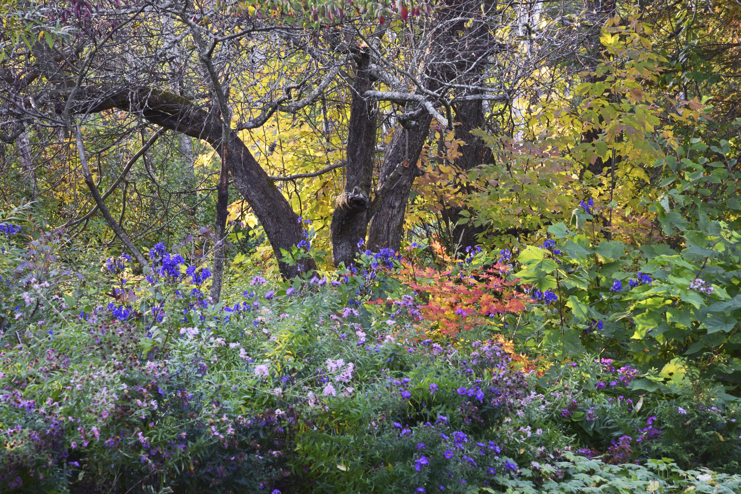 Noble’s flower garden contains many throwback additions to give it a sense of place