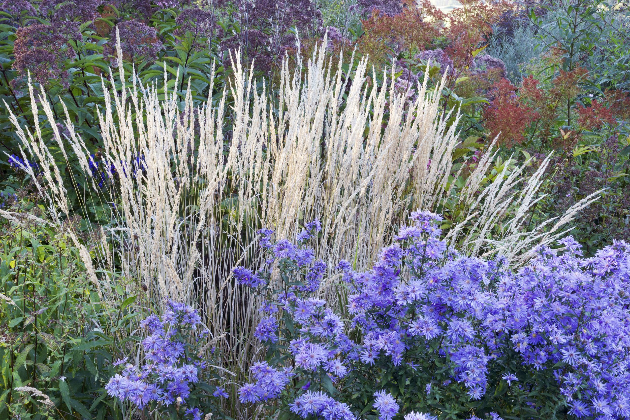 Old-fashioned flowers like garden phlox, bearded iris and delphiniums suit an old-fashioned setting